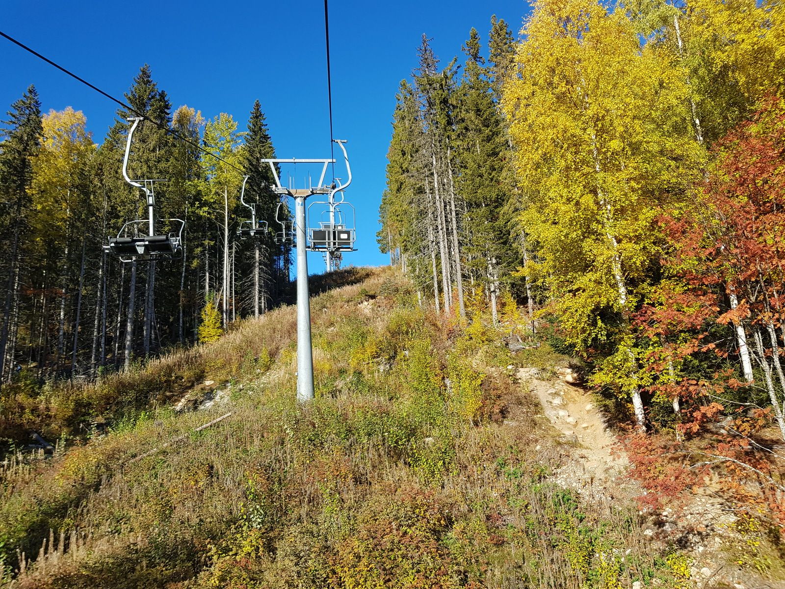 20181007_103850.jpg