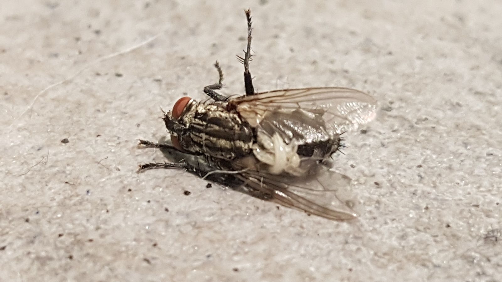 20181010_222559.jpg