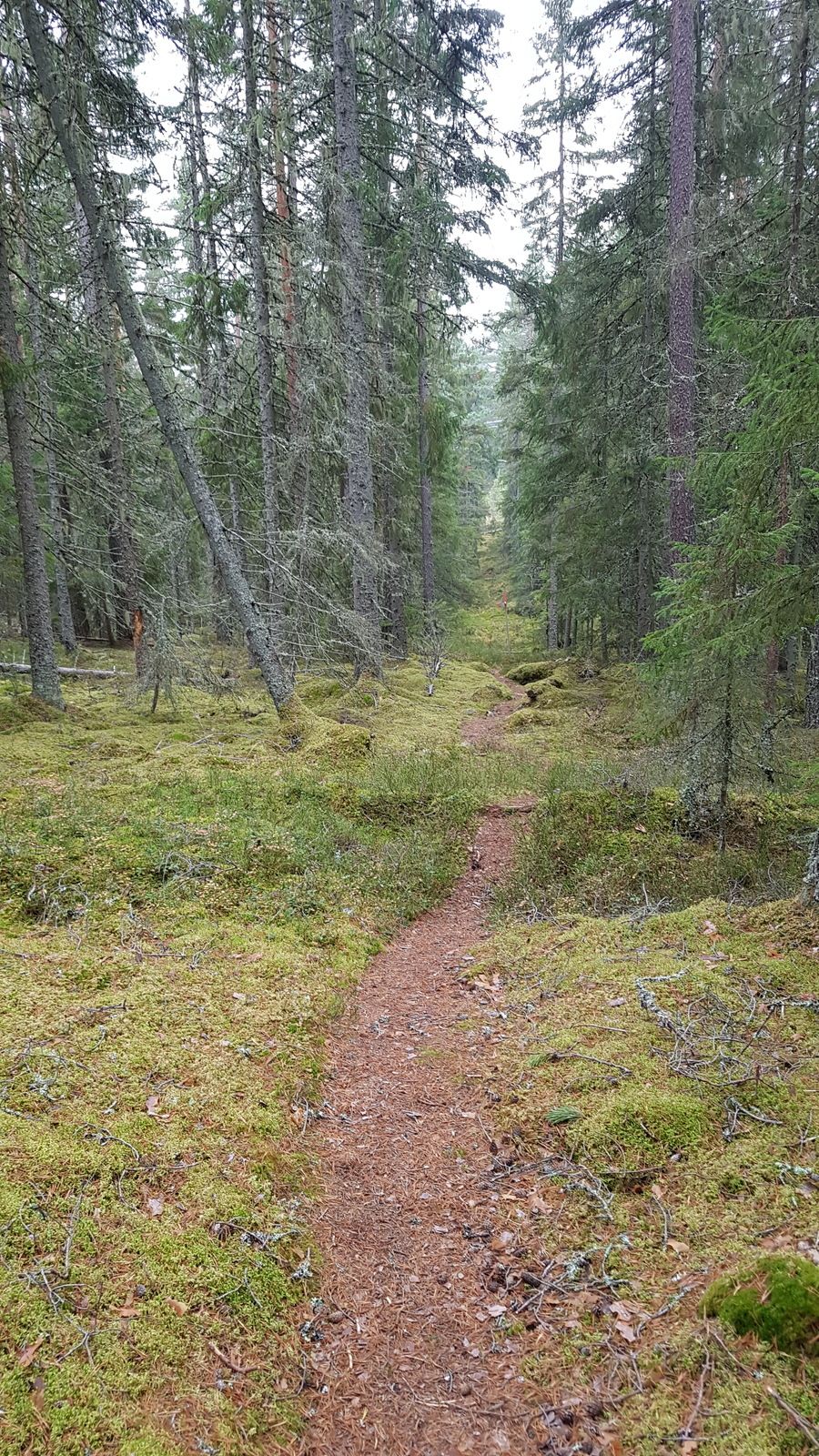 20181012_143830.jpg