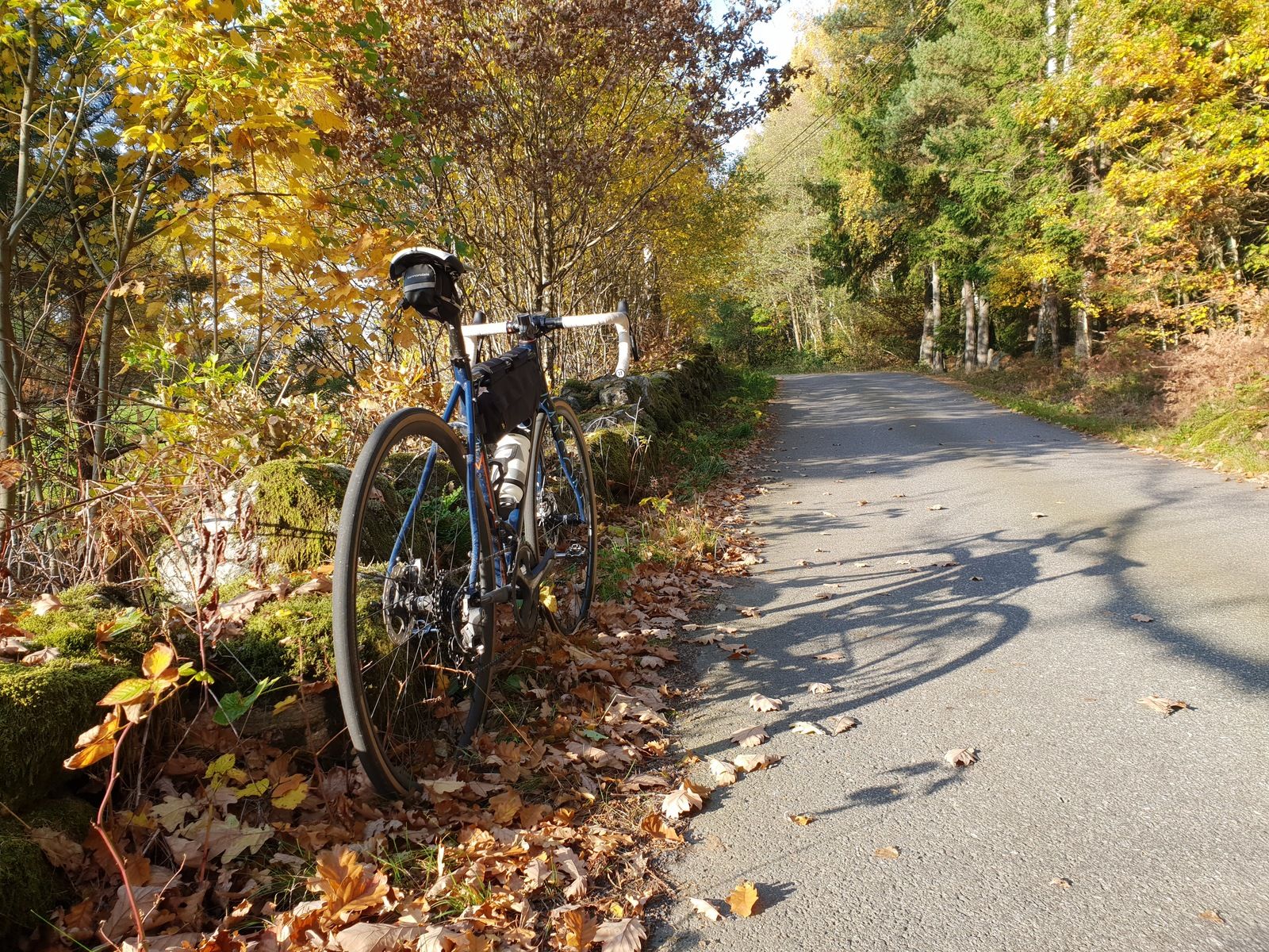 20181012_152931.jpg