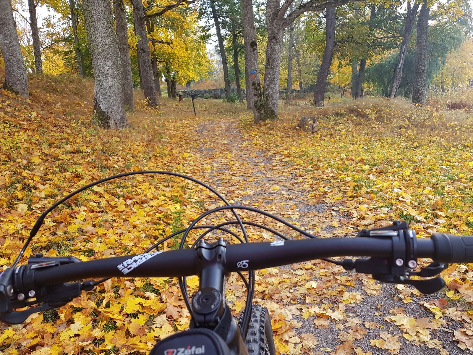20181013_134406.jpg