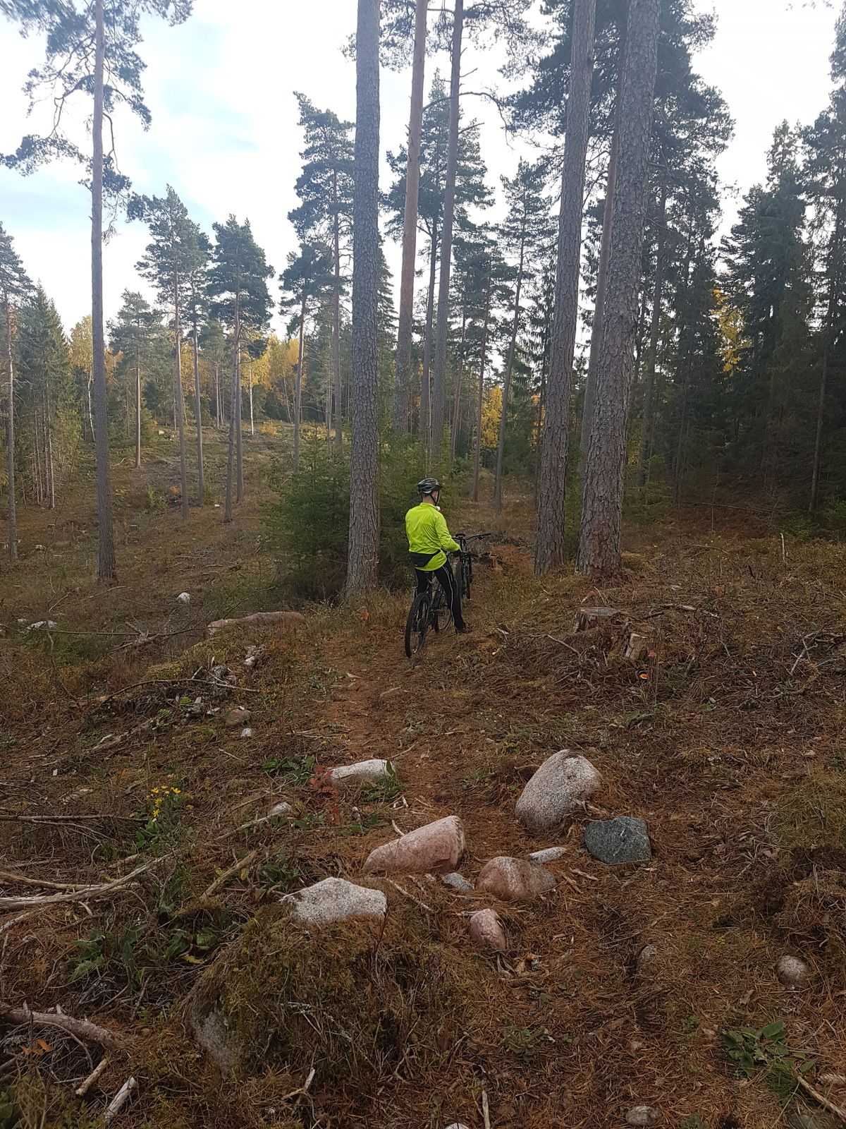20181013_152856.jpg