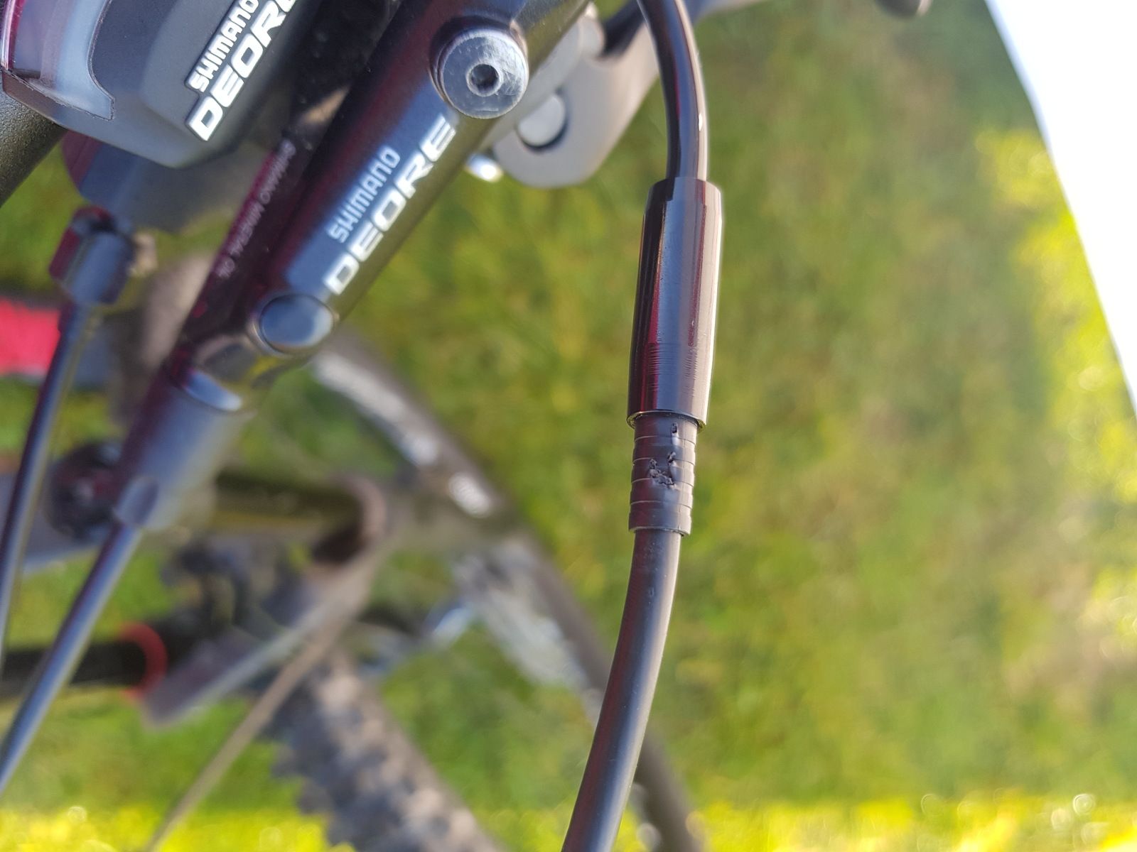 20181014_094233.jpg