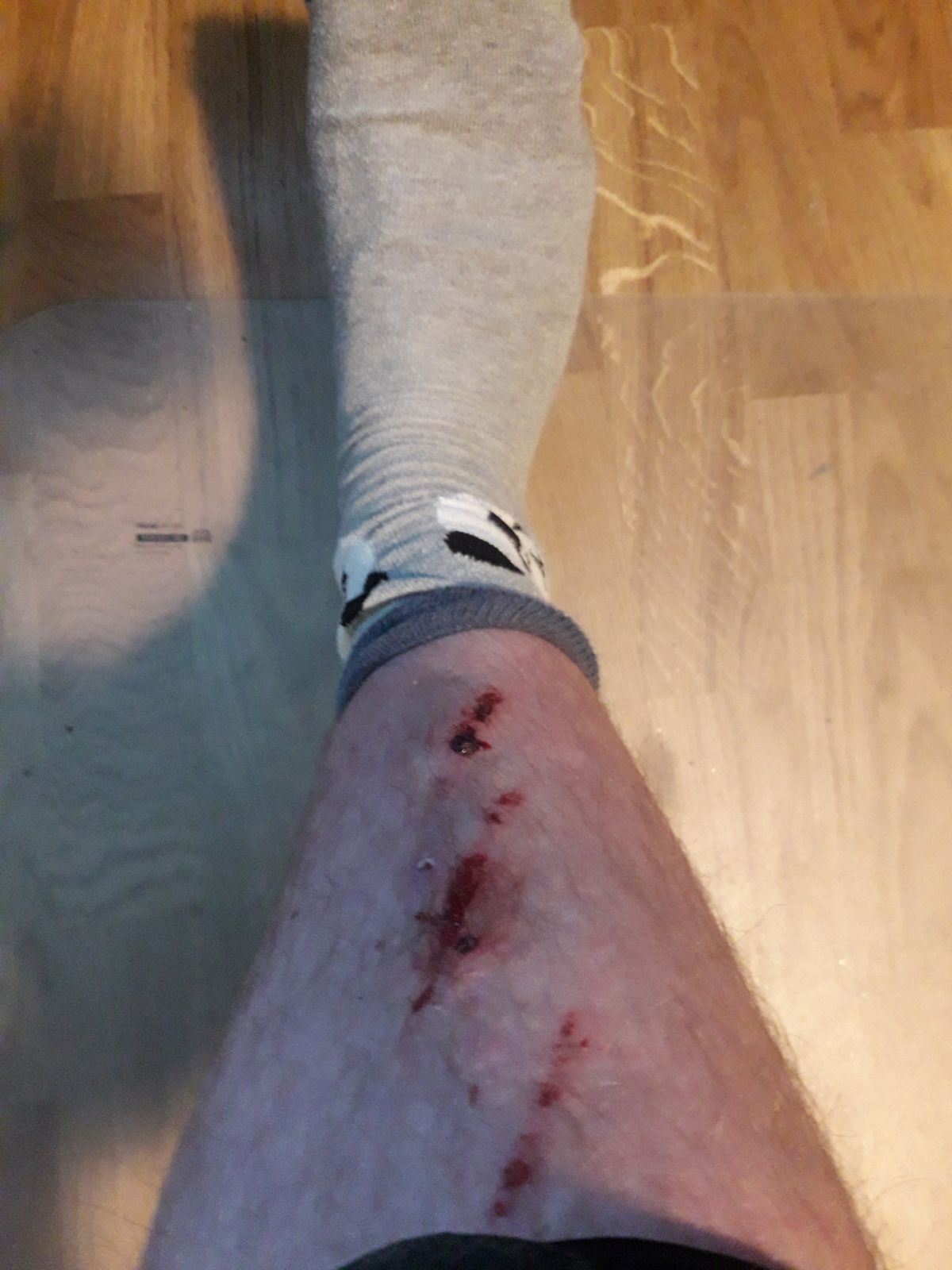 20181018_154742.jpg