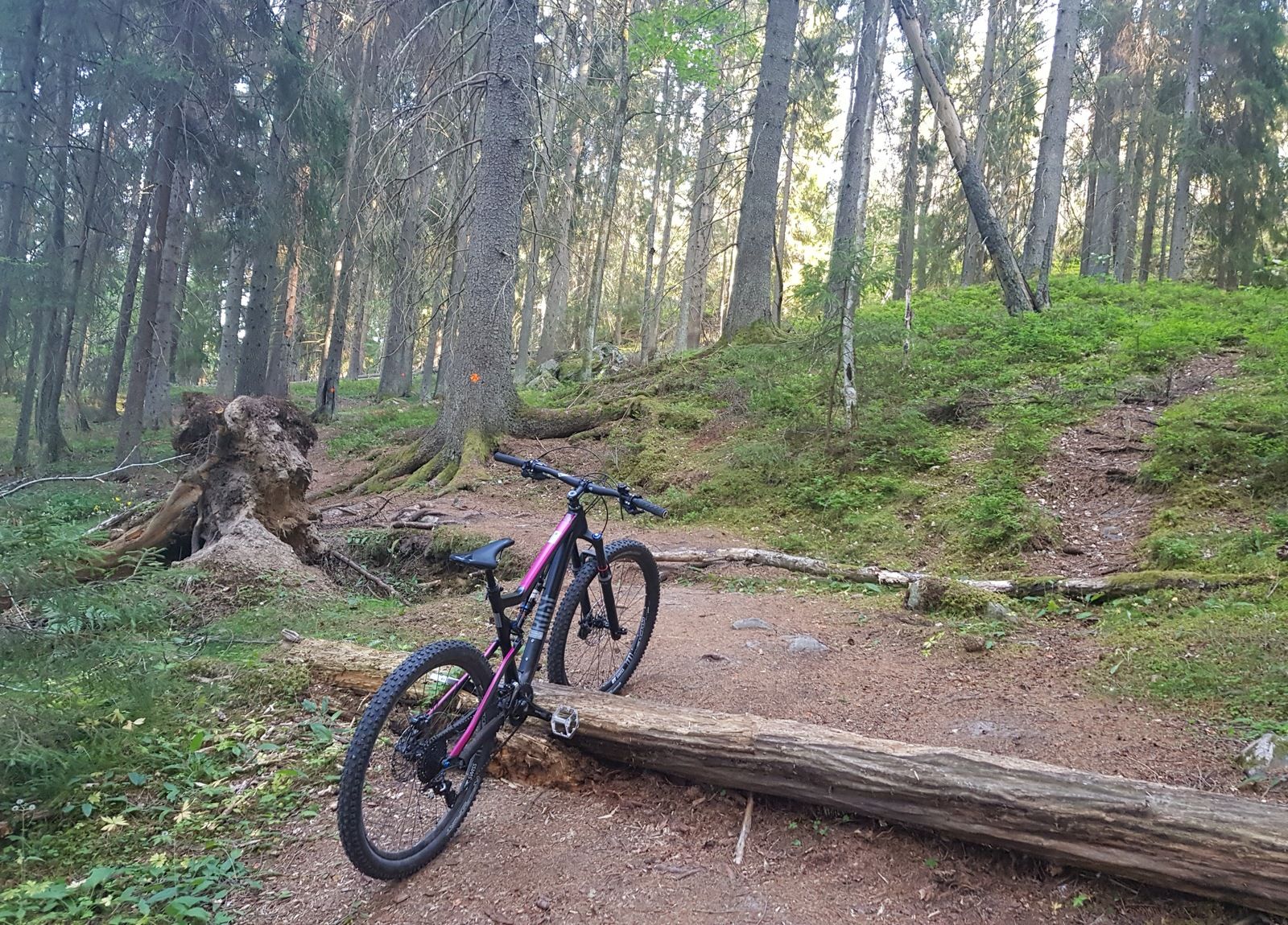 20181028_073251.jpg