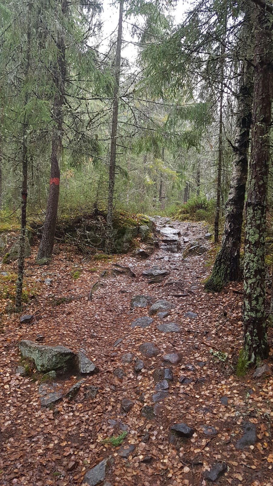 20181102_135943.jpg