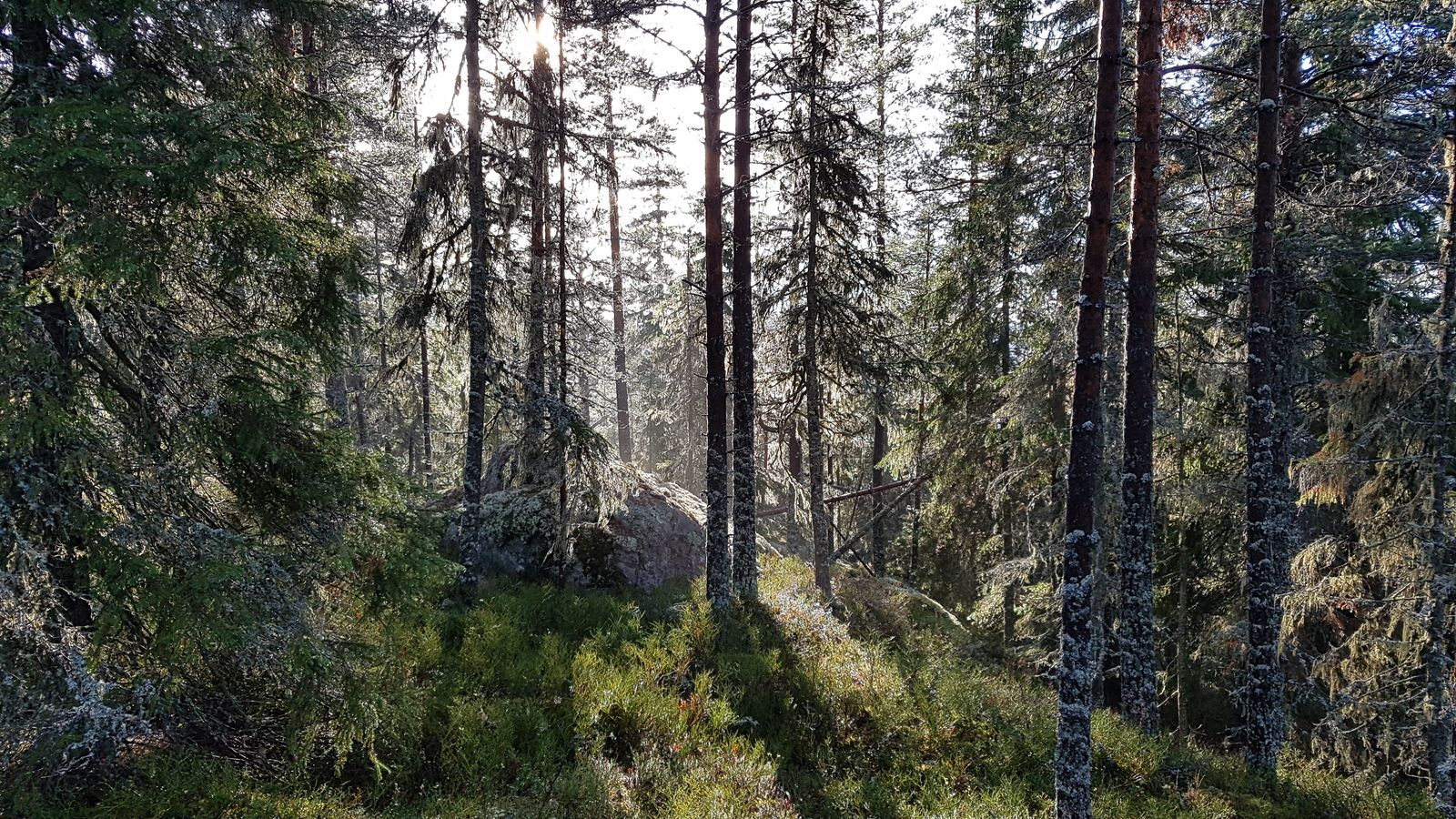 20181103_112102.jpg