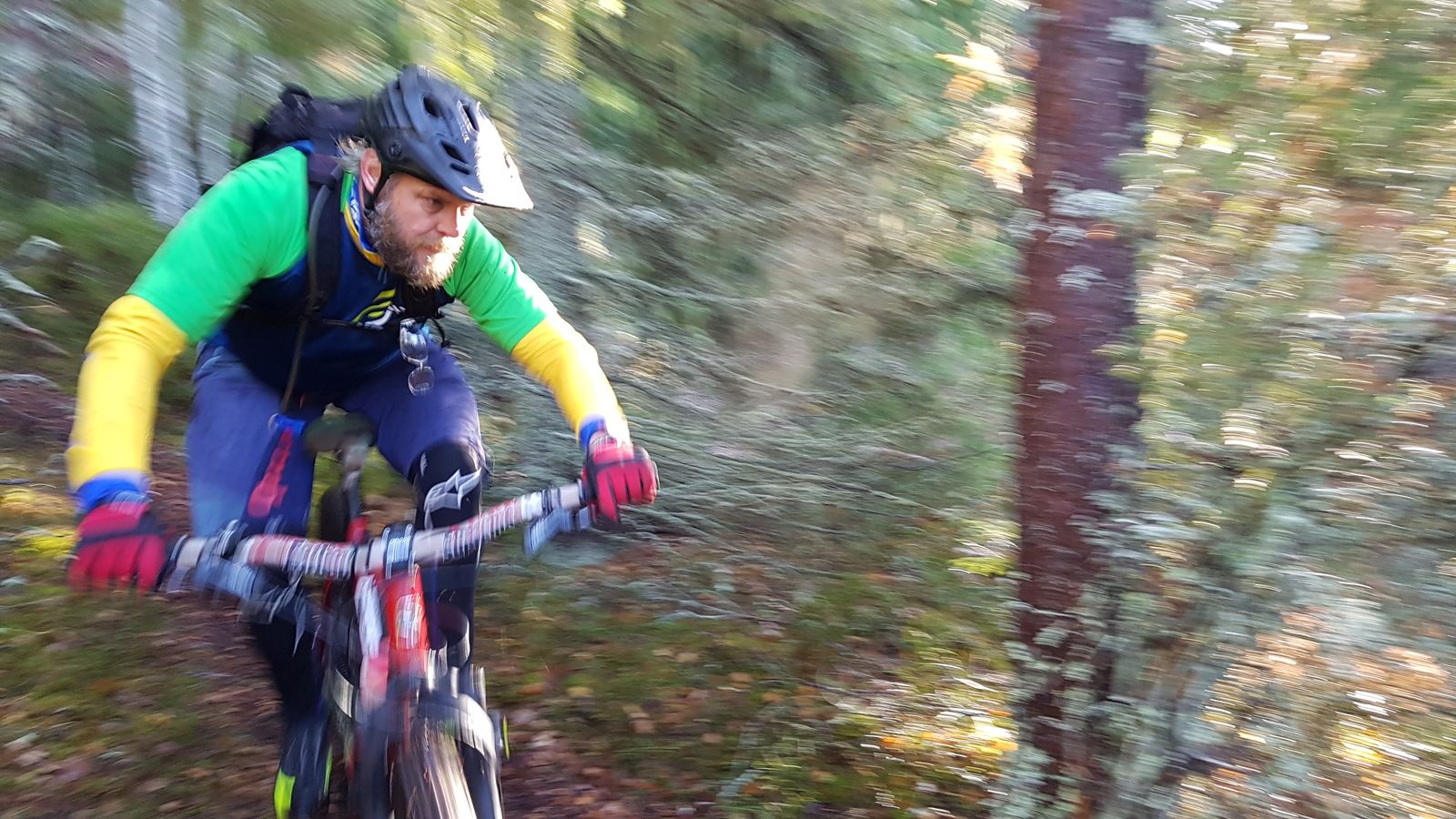 20181103_113257_005_01.jpg