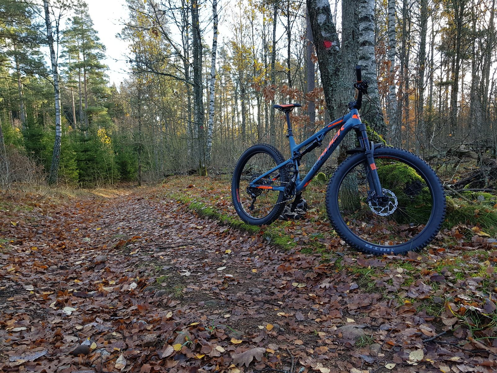 20181104_103121.jpg
