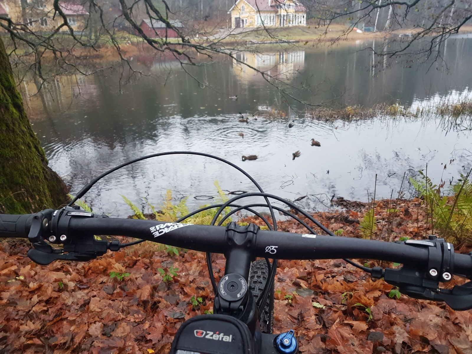 20181111_150817.jpg