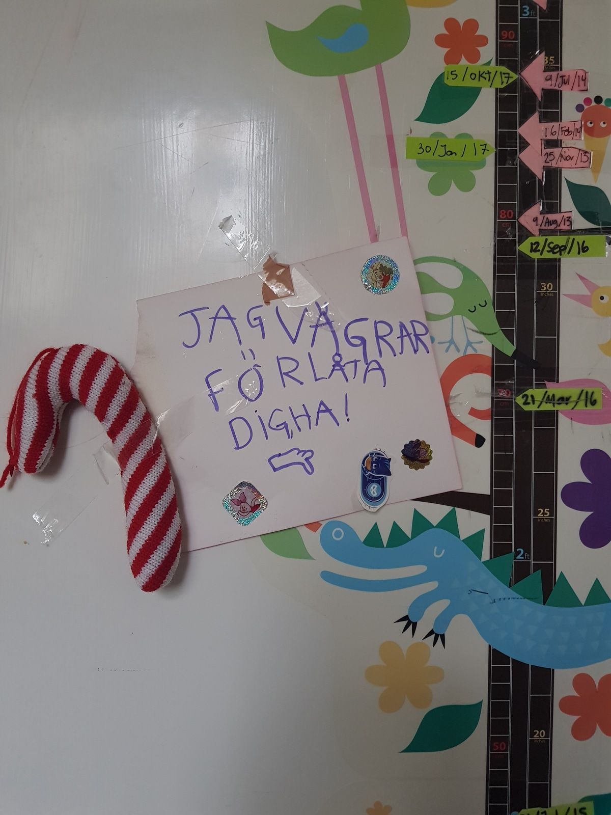 20181209_135420.jpg