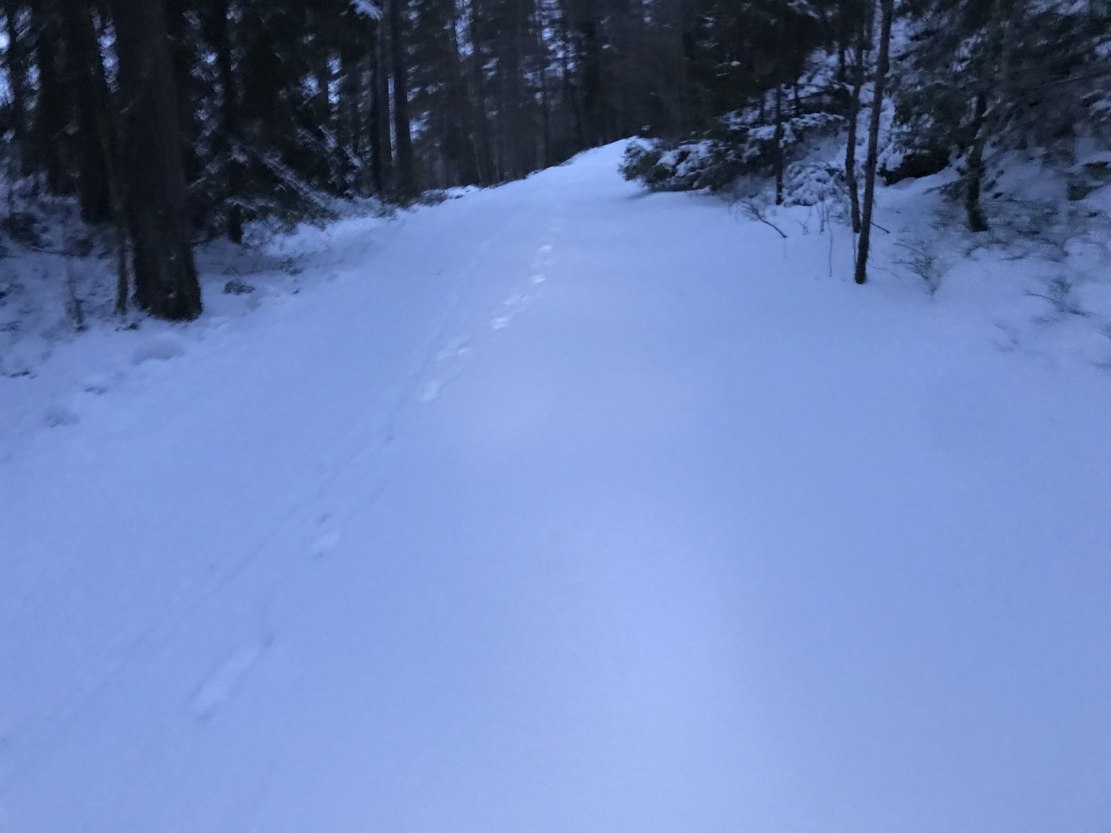 2019-01-2807.45.12.jpg