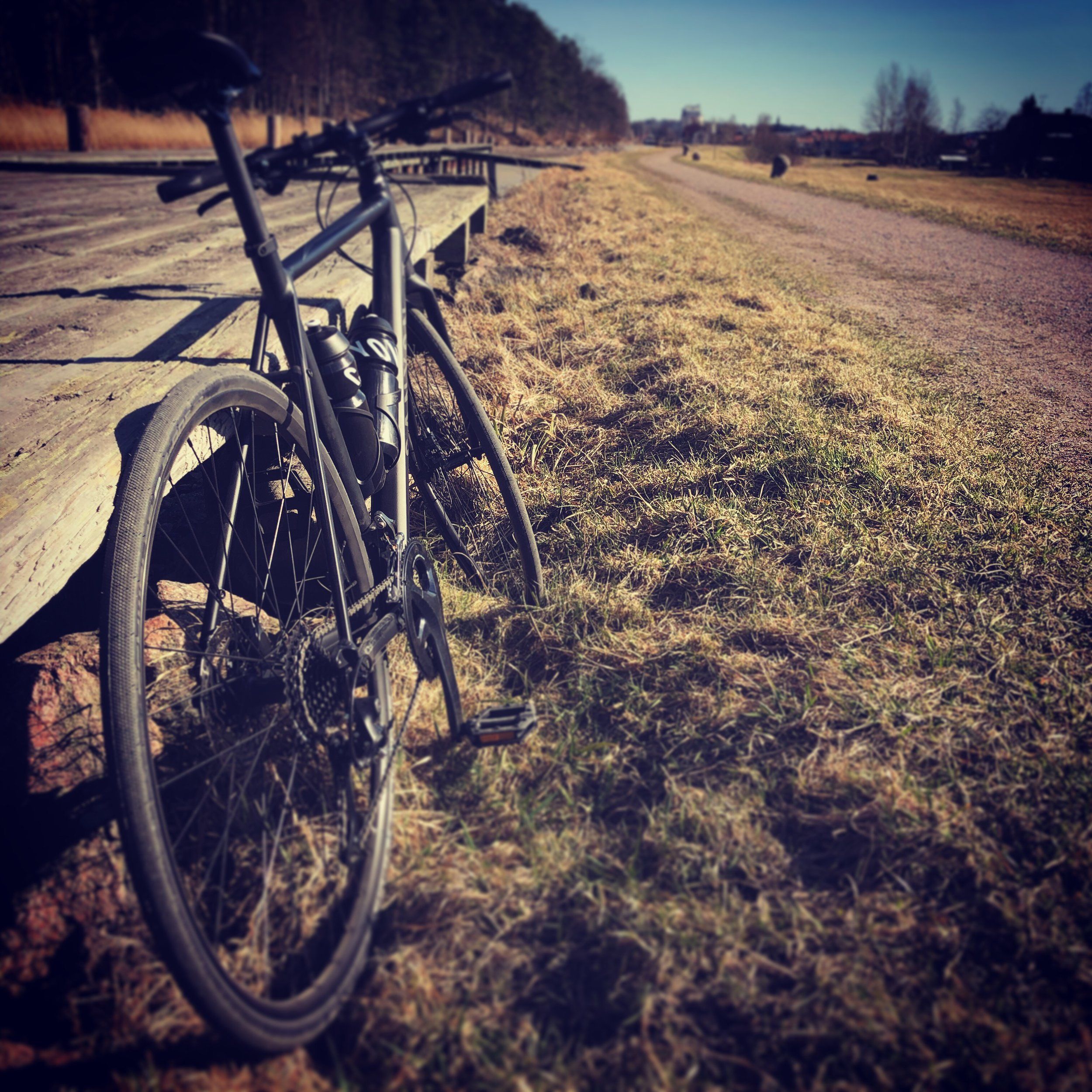 2019-04-02_1.JPG