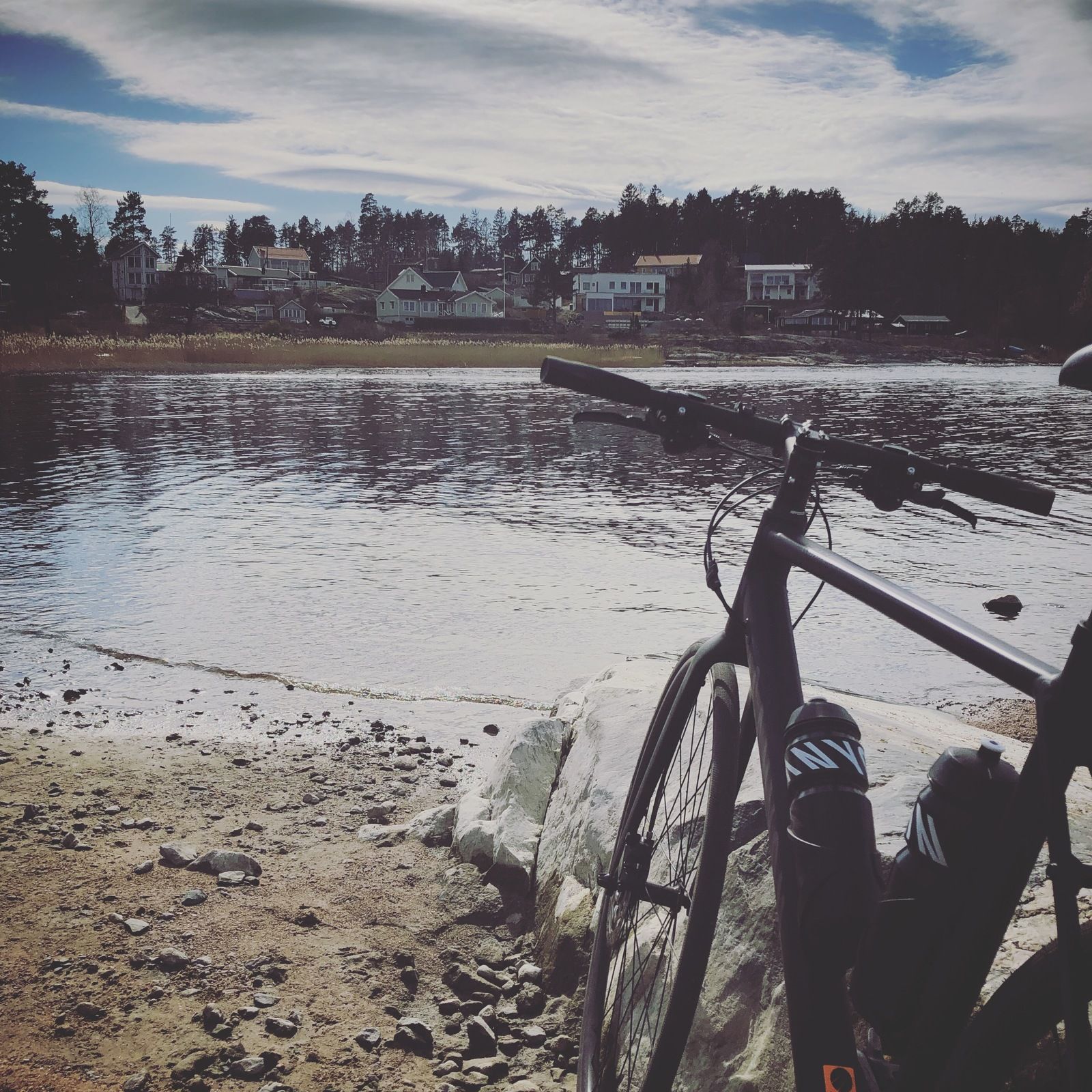 2019-04-16_3.JPG