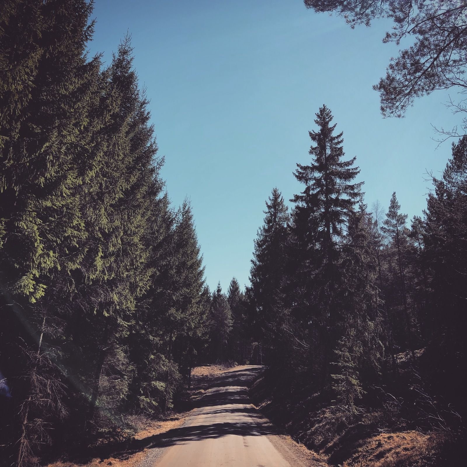 2019-04-17_1.JPG