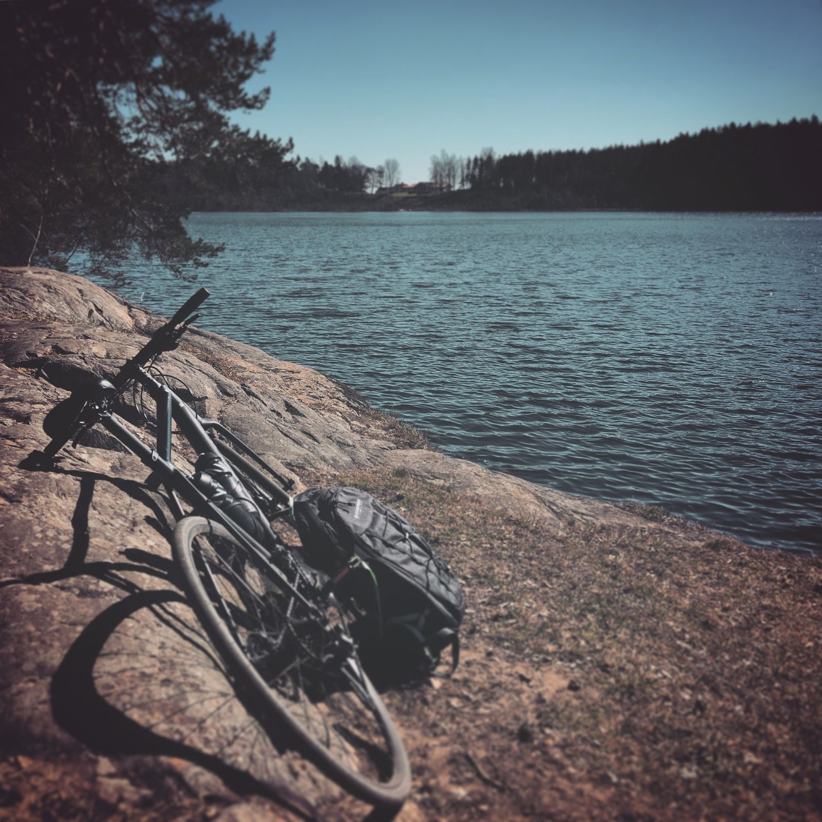 2019-04-17_2.JPG