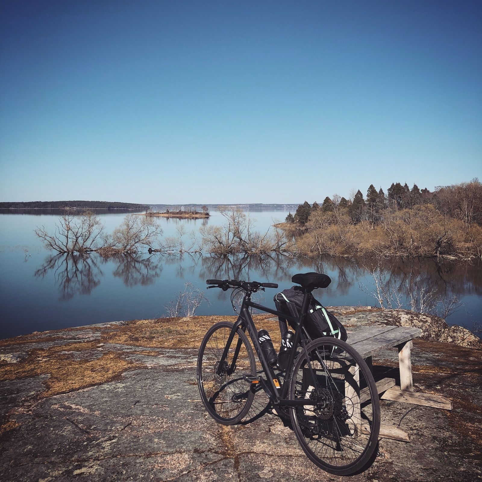 2019-04-18_1.JPG