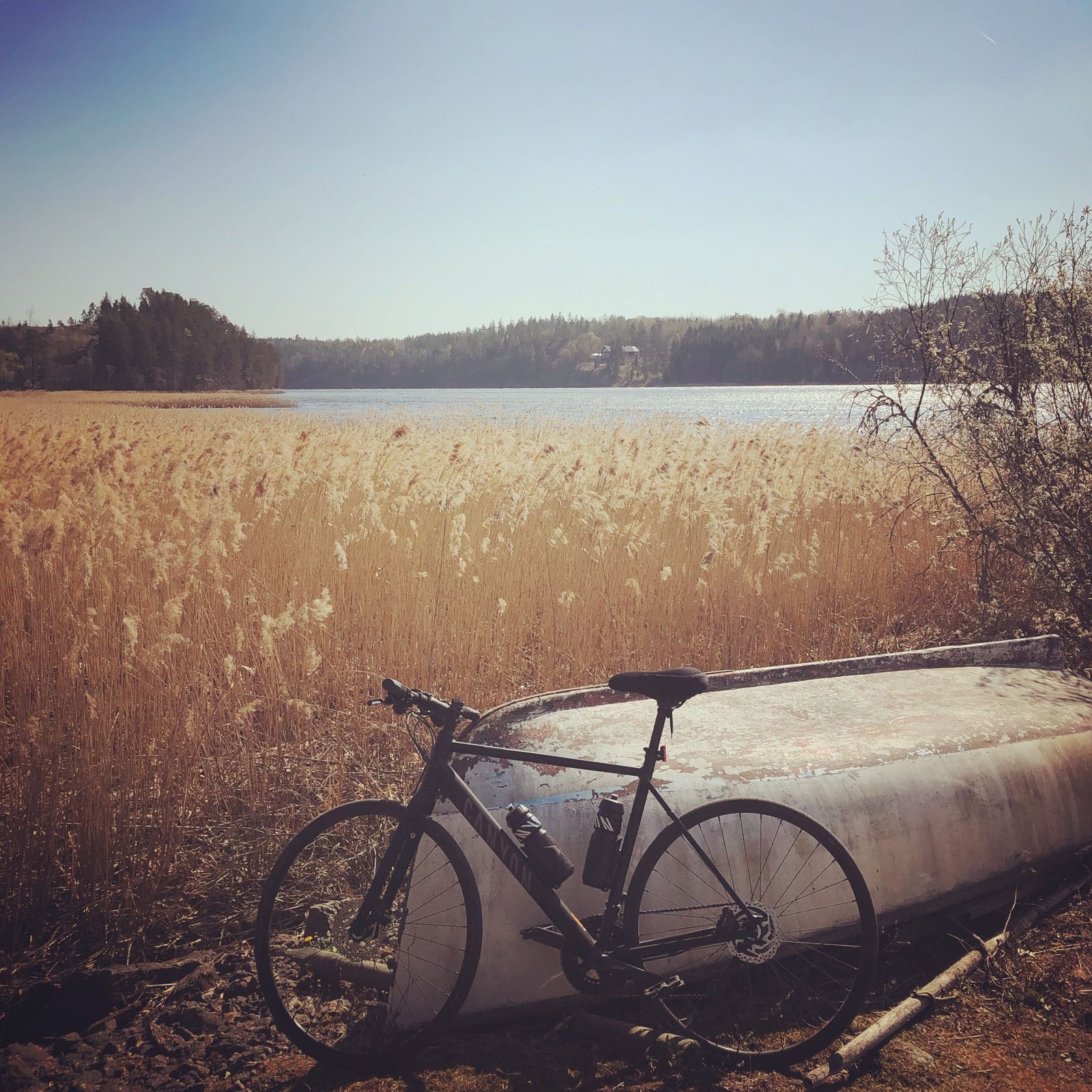 2019-04-24_1.JPG