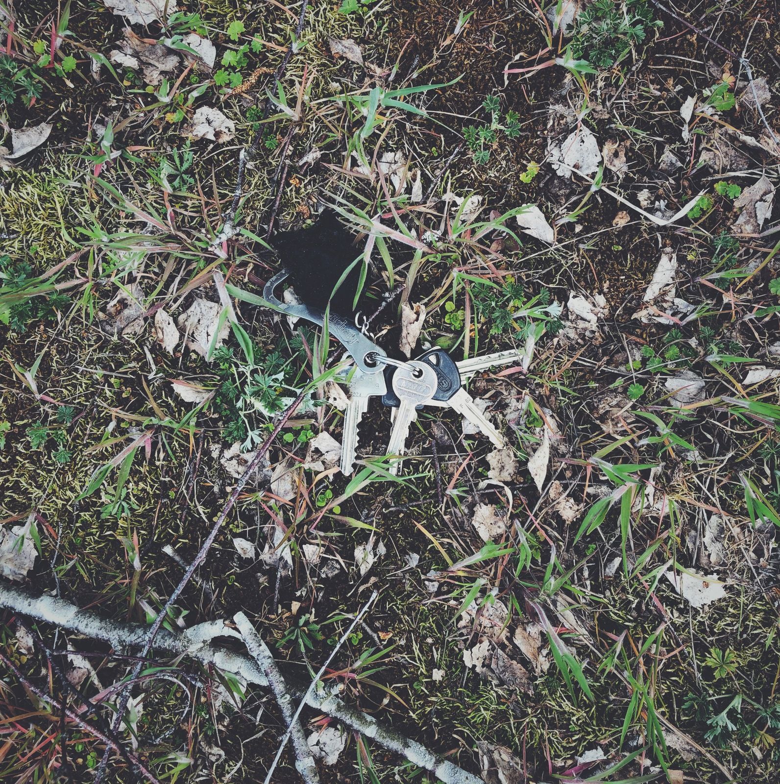 2019-05-04_2.JPG