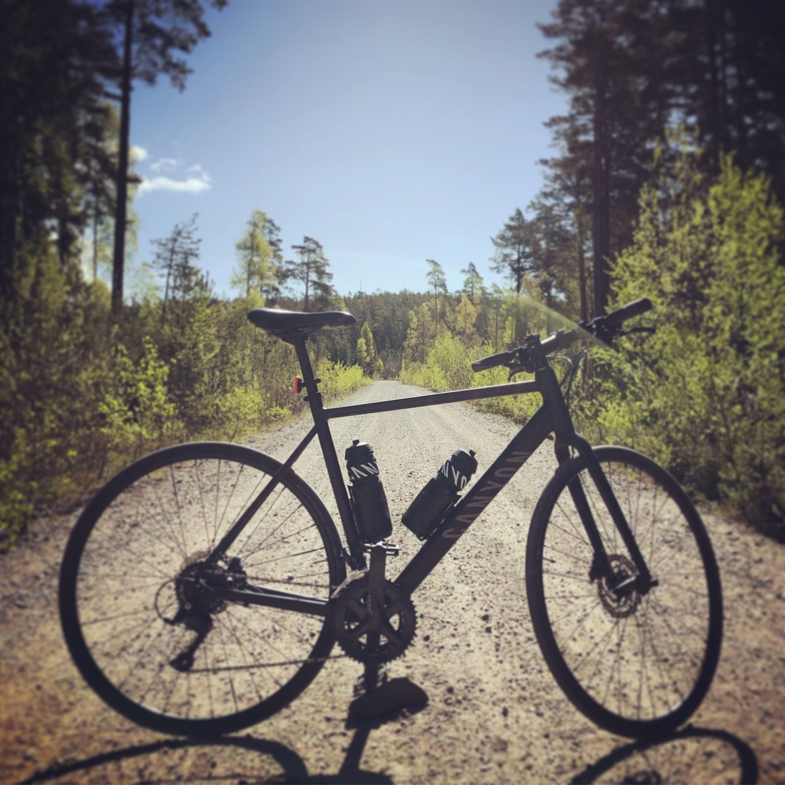 2019-05-05_1.JPG
