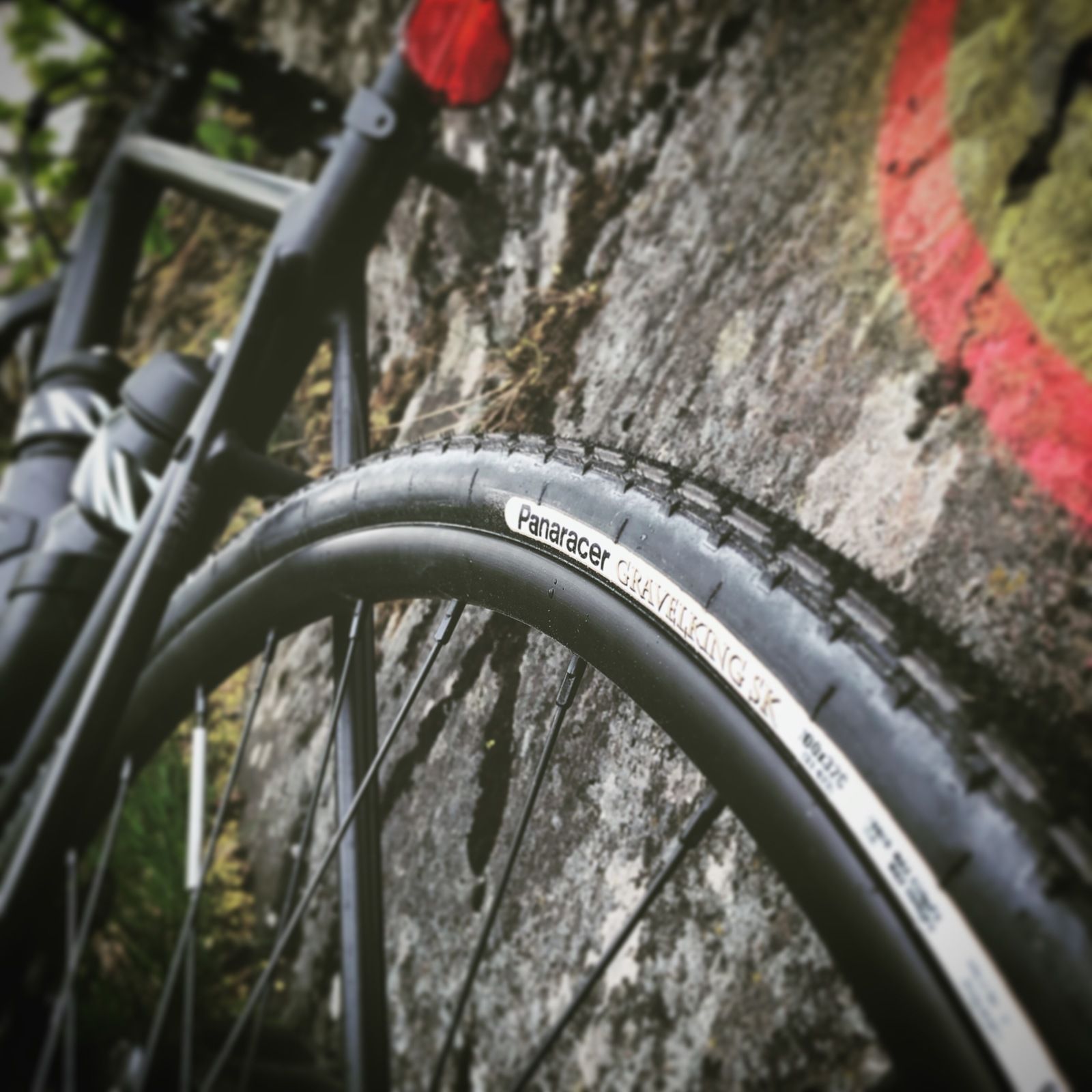 2019-05-08_Gravelking_1.JPG