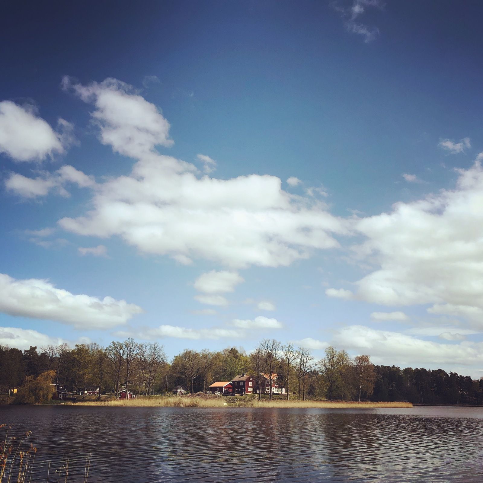 2019-05-11_2.JPG