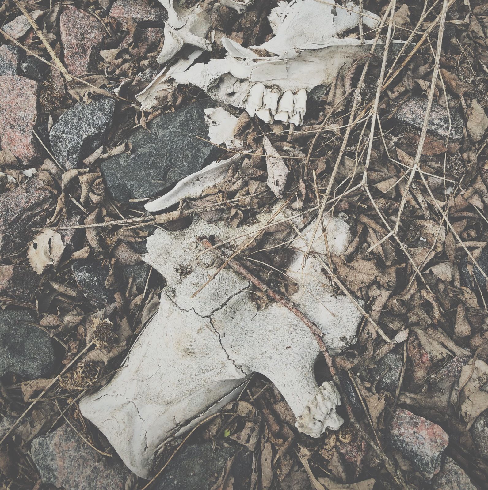 2019-05-13_3_benrester2.JPG