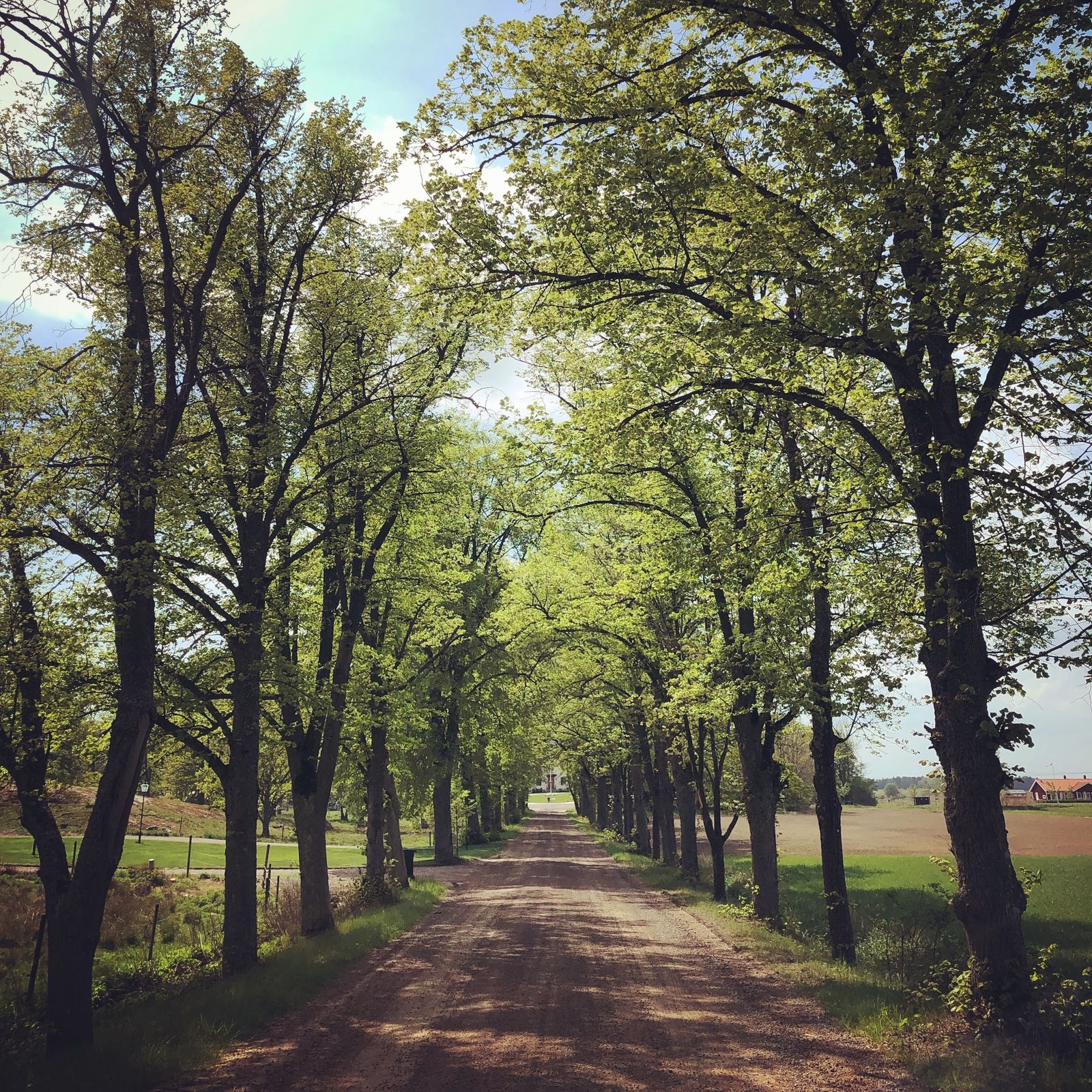 2019-05-20_1.JPG