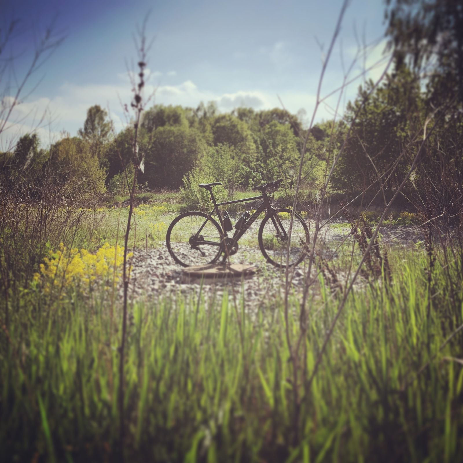 2019-05-20_4.JPG
