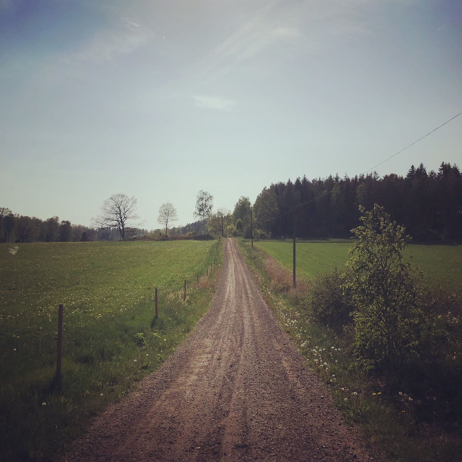 2019-05-21_1.JPG