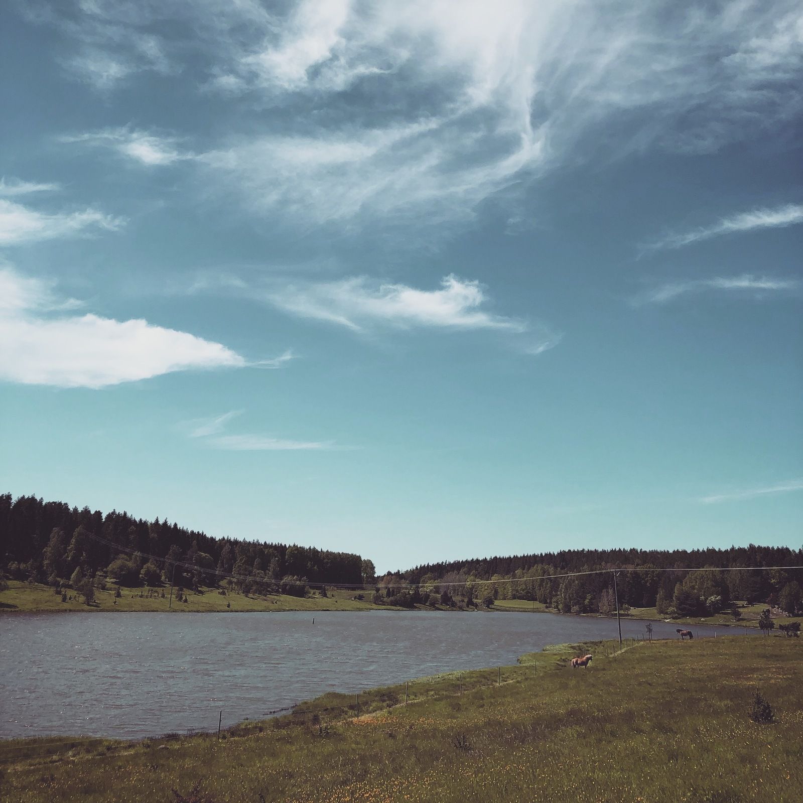 2019-05-31_1.JPG