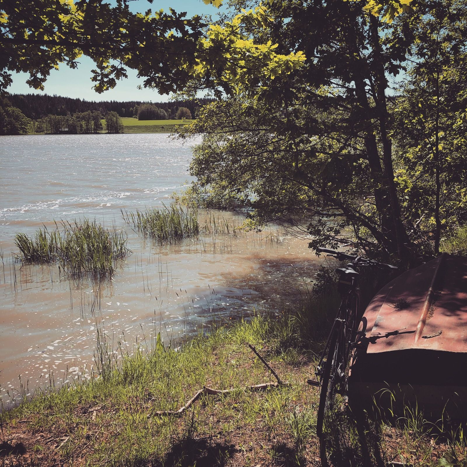 2019-05-31_3.JPG