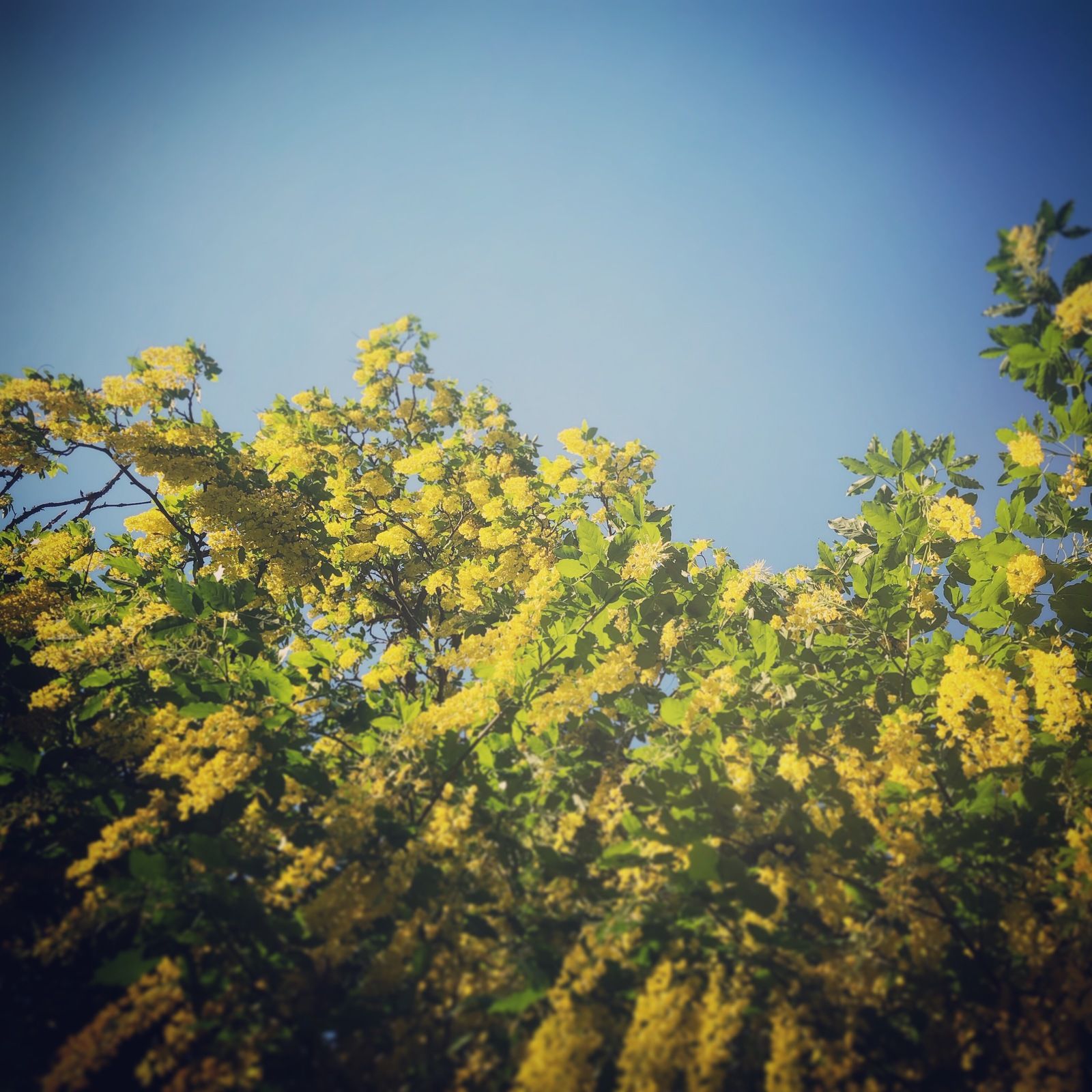 2019-06-09_1.JPG