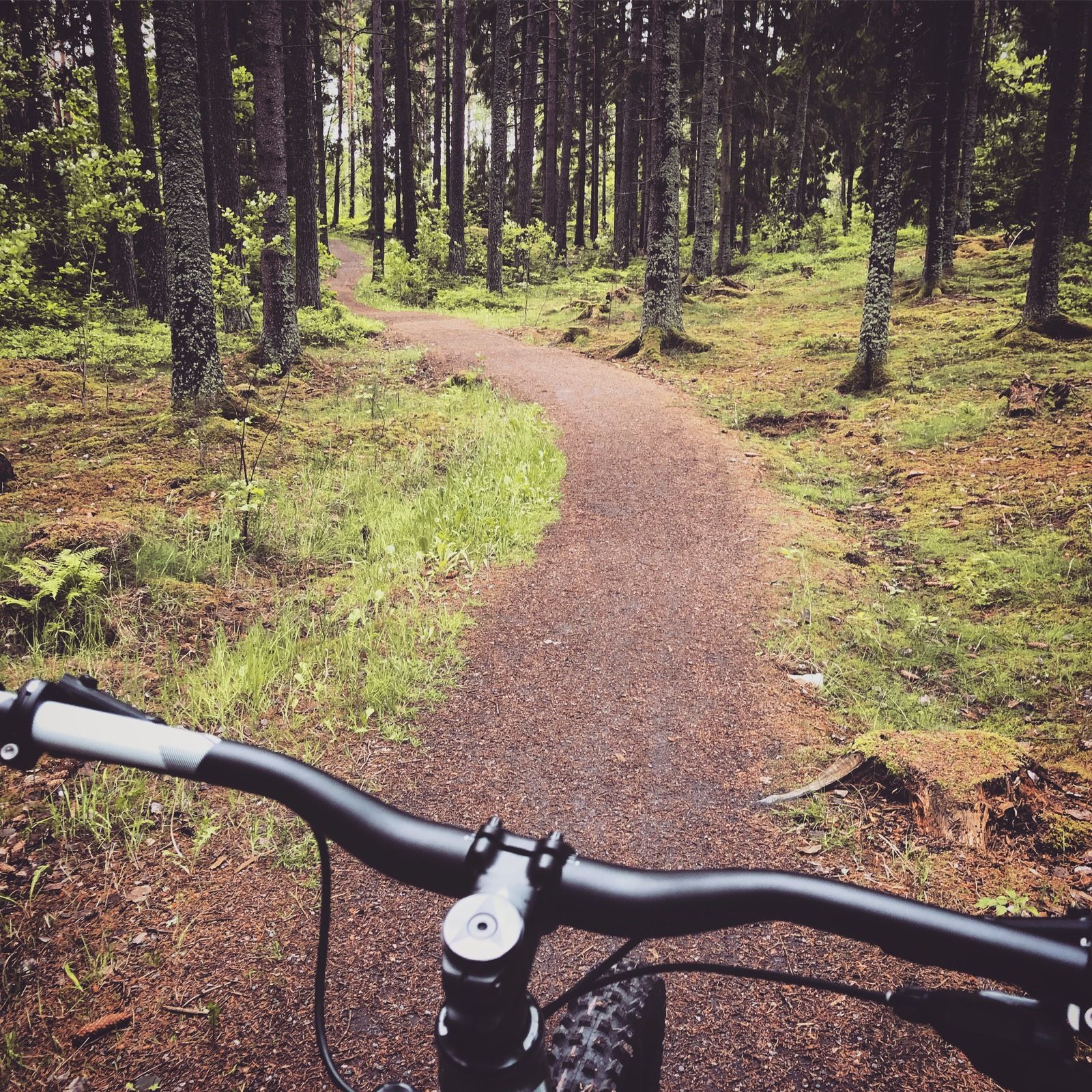 2019-06-11_1.JPG