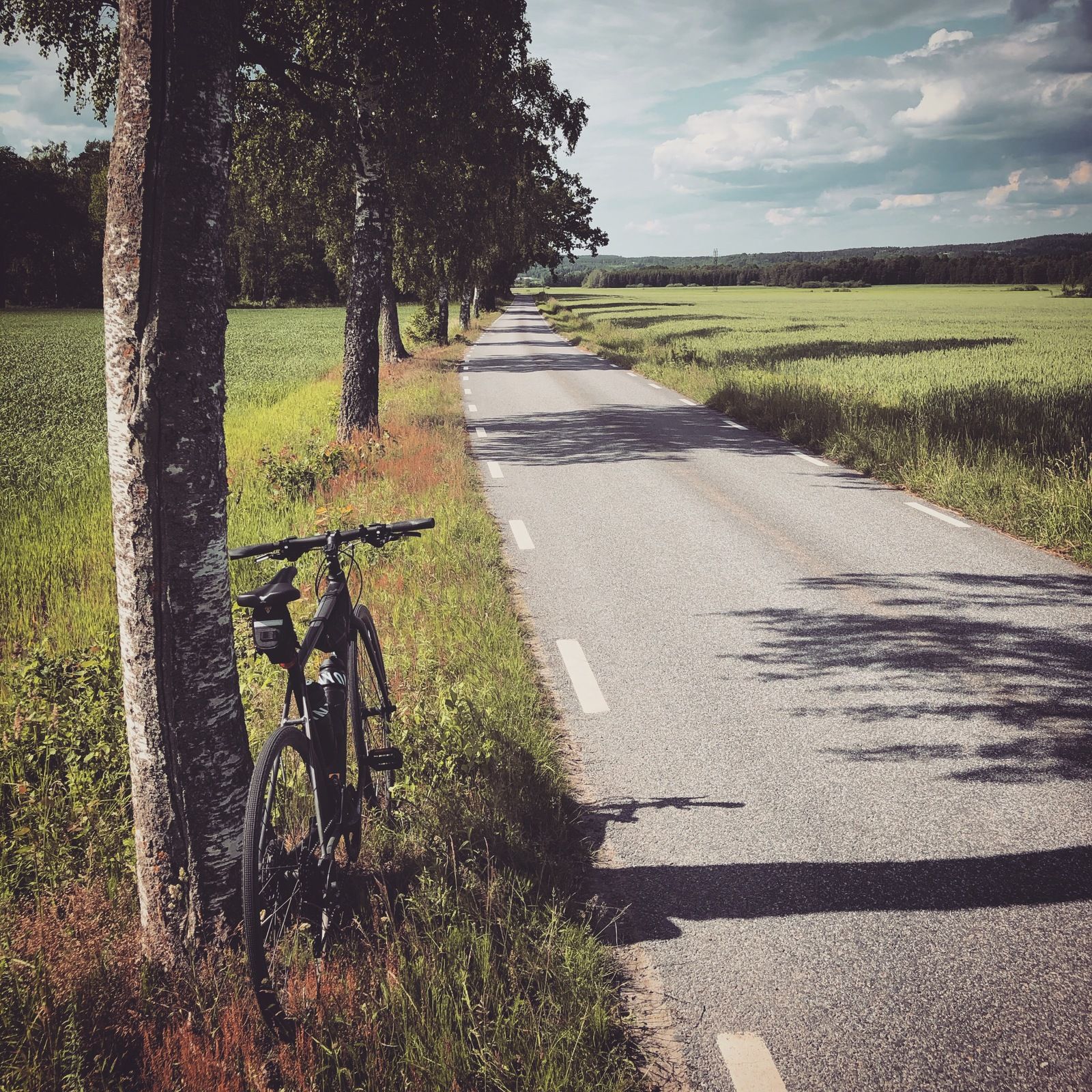 2019-06-16_1.JPG