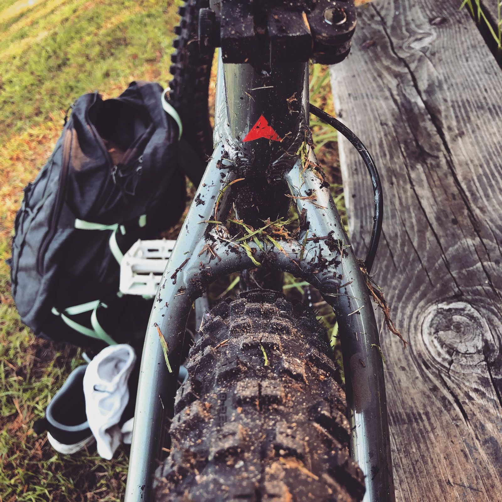 2019-06-20_1.JPG
