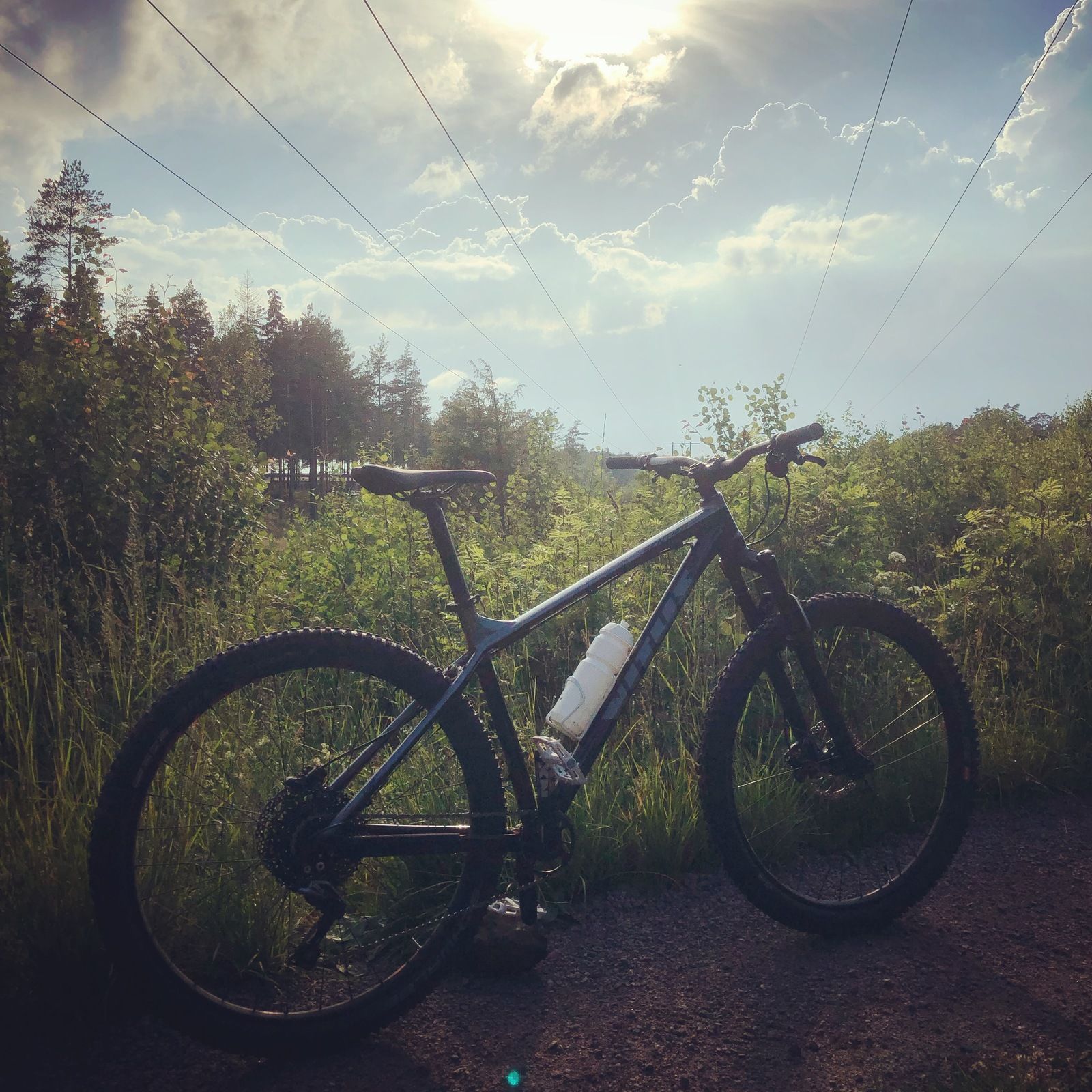 2019-06-20_2.JPG
