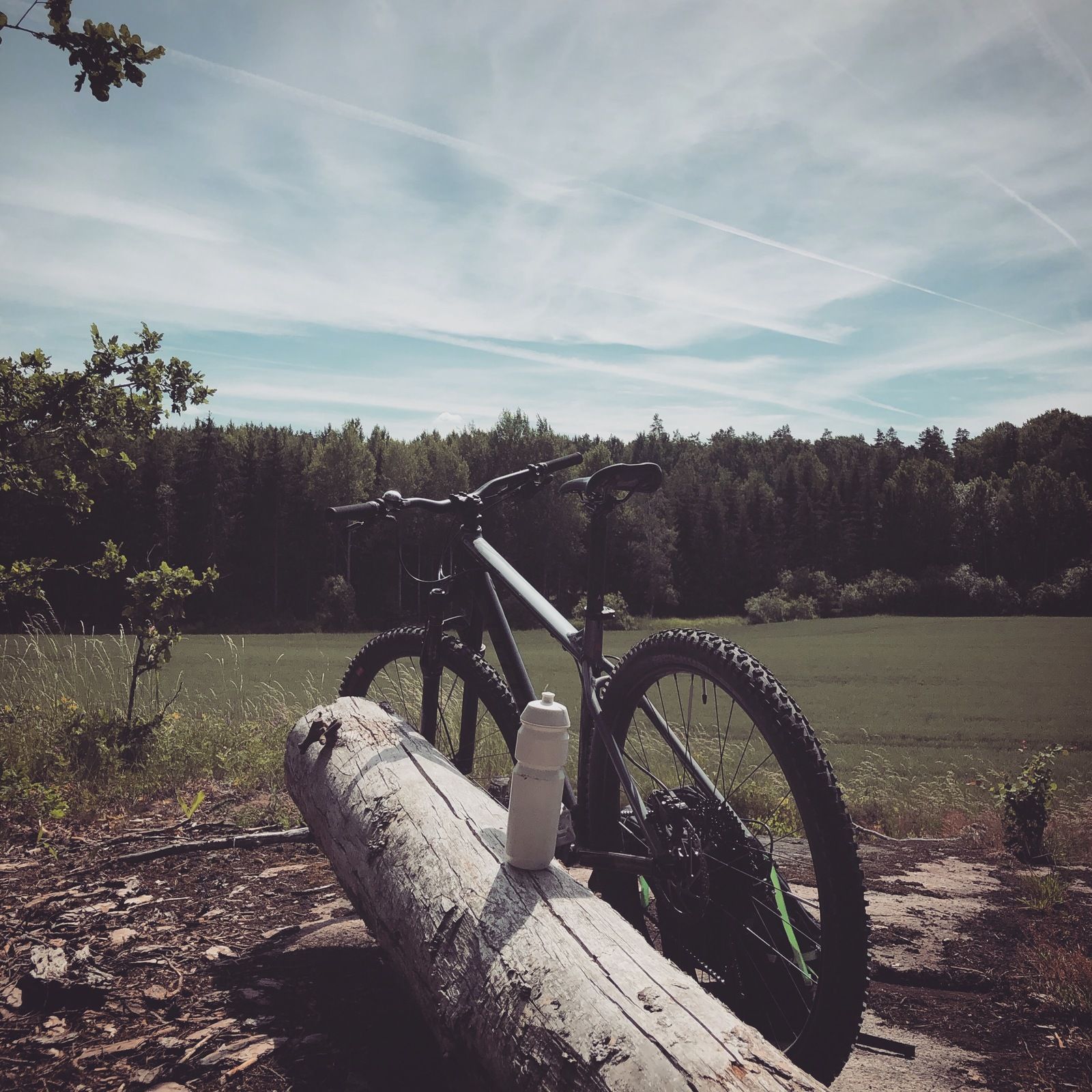 2019-06-23_1.JPG