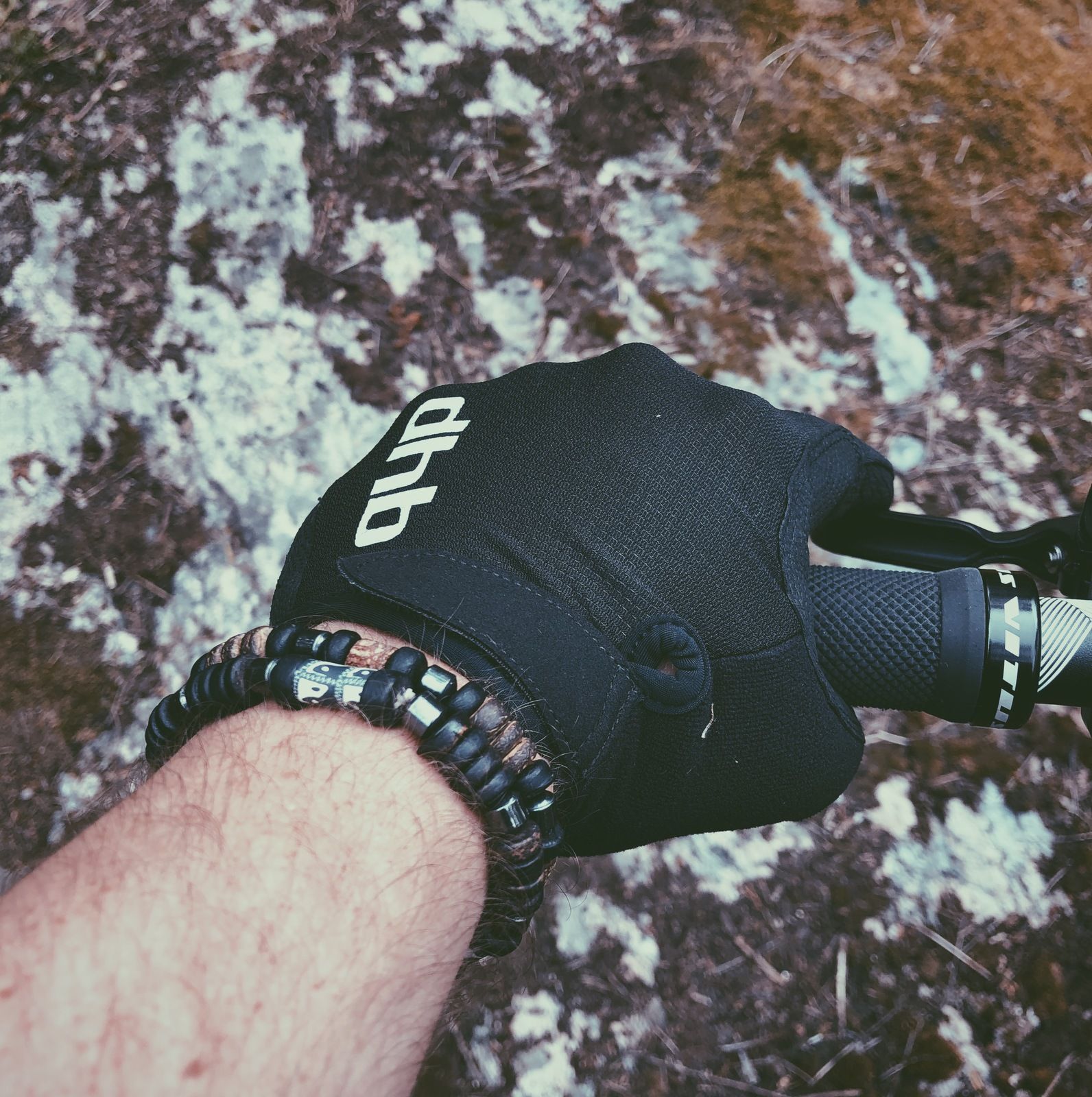 2019-07-04_1.JPG