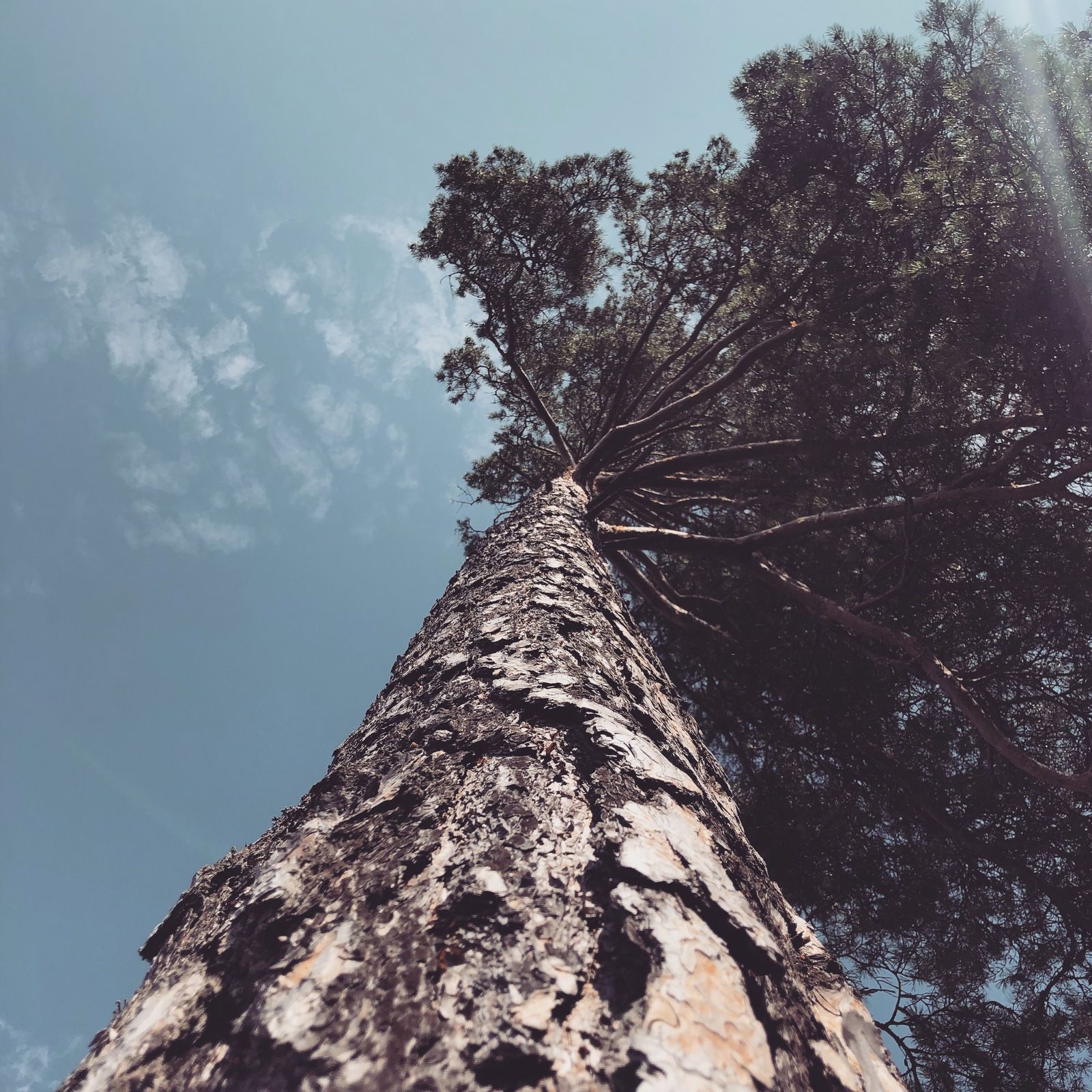 2019-07-13_3.JPG