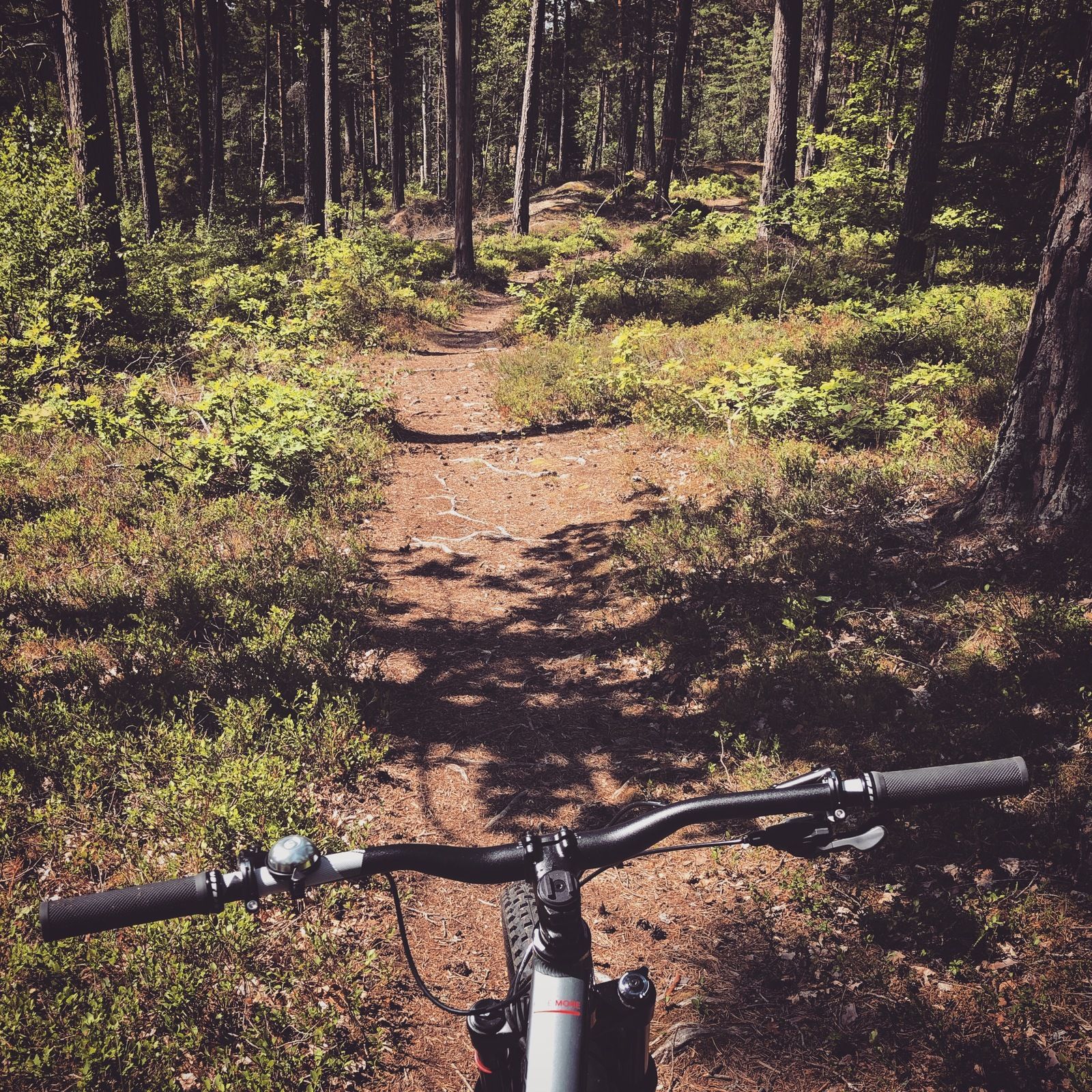 2019-07-19_1.JPG