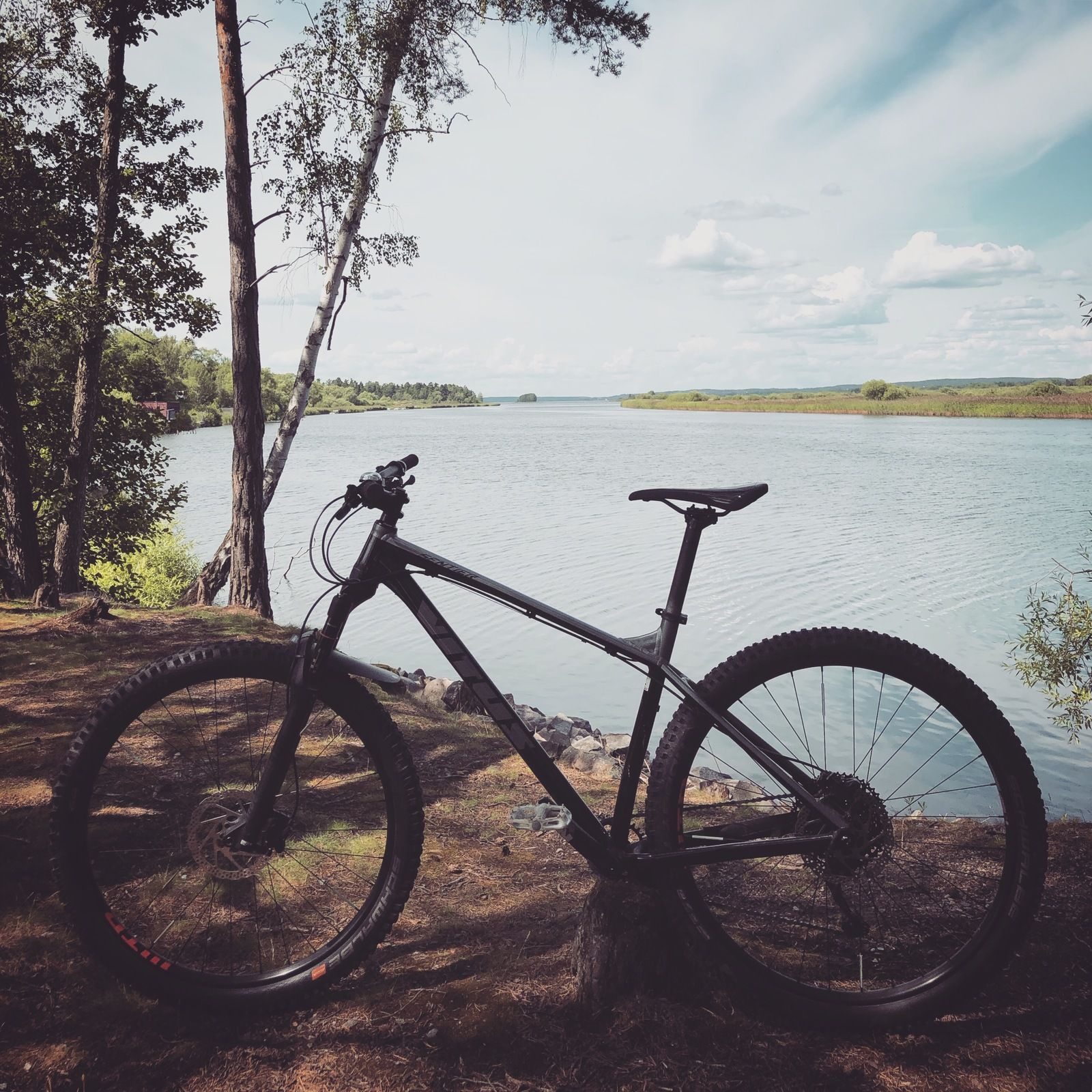 2019-07-19_3.JPG