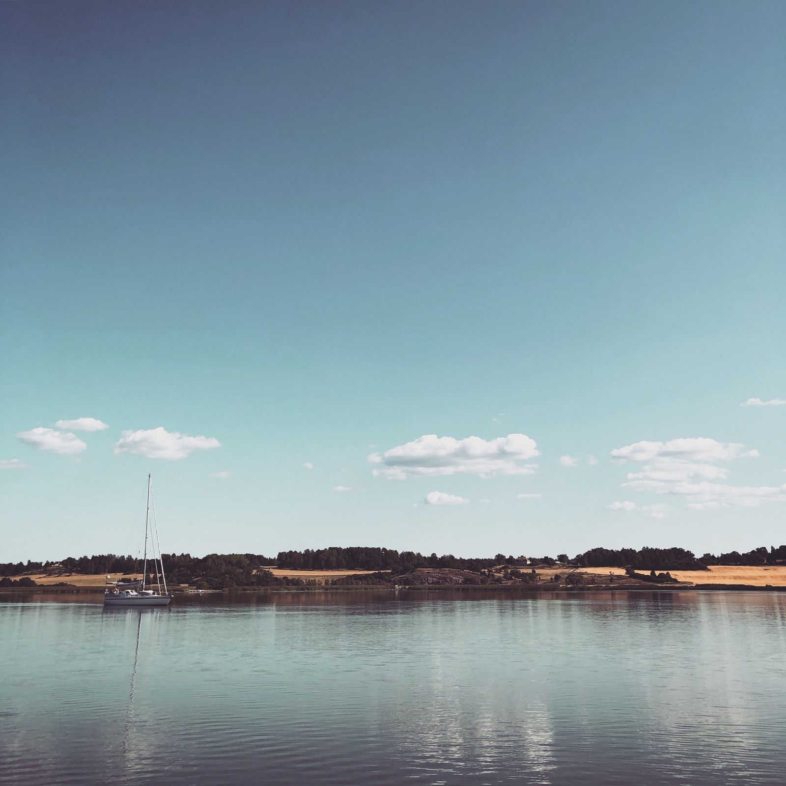 2019-07-25_3.JPG