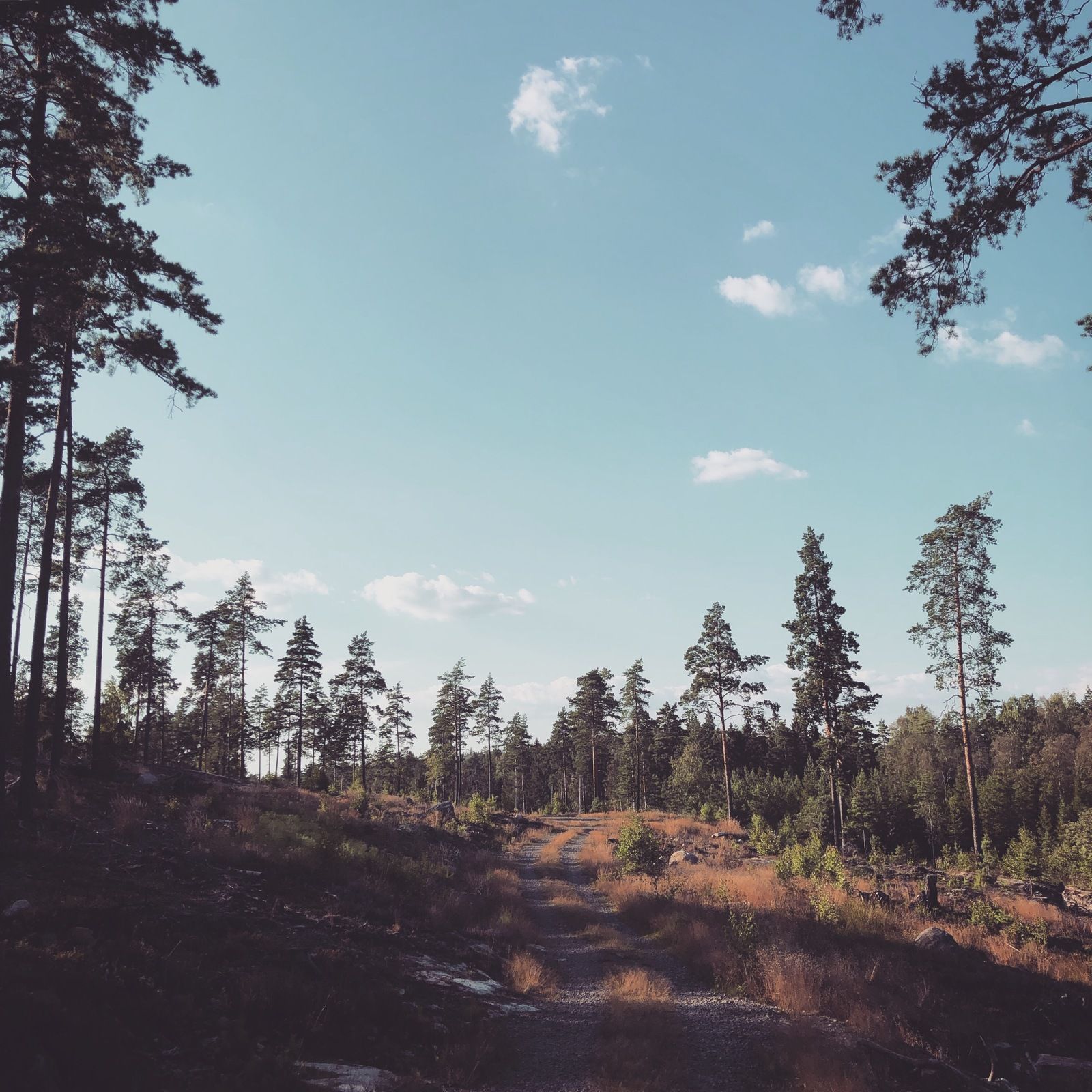 2019-07-27_2.JPG