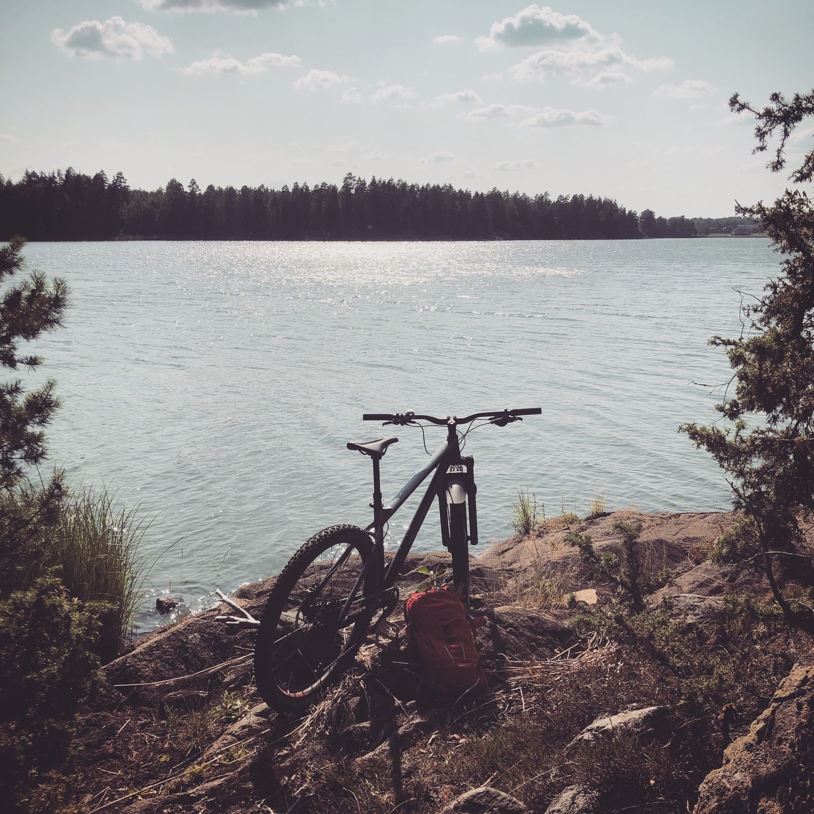 2019-07-28_1.JPG