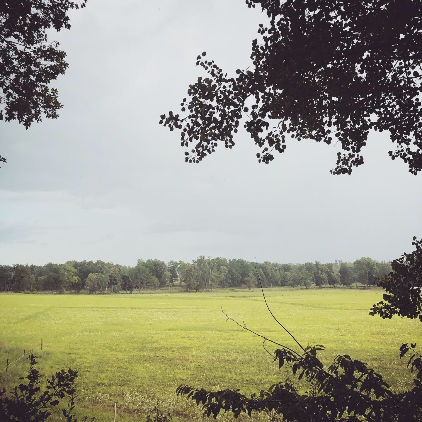 2019-08-02_3.JPG