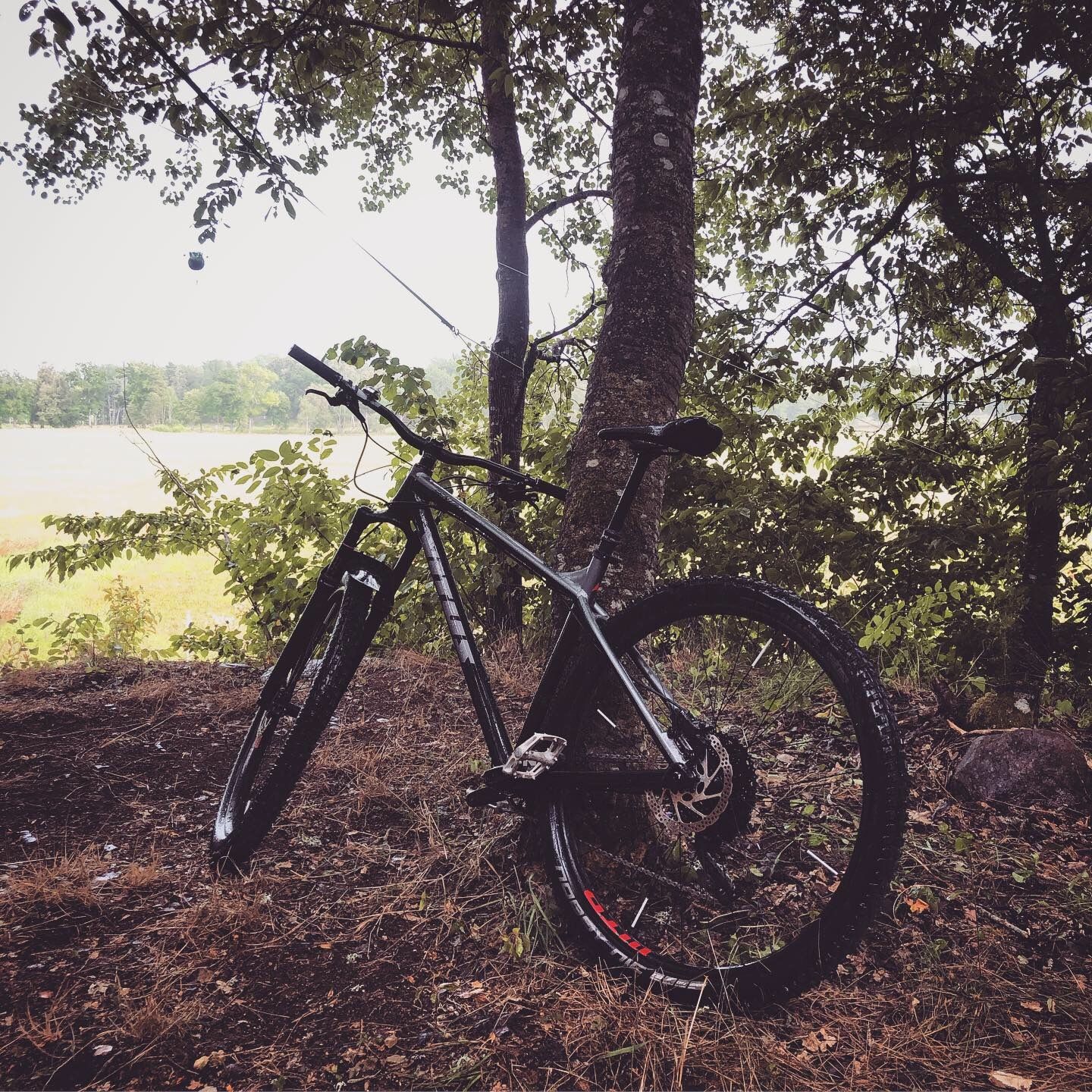 2019-08-02_4.JPG