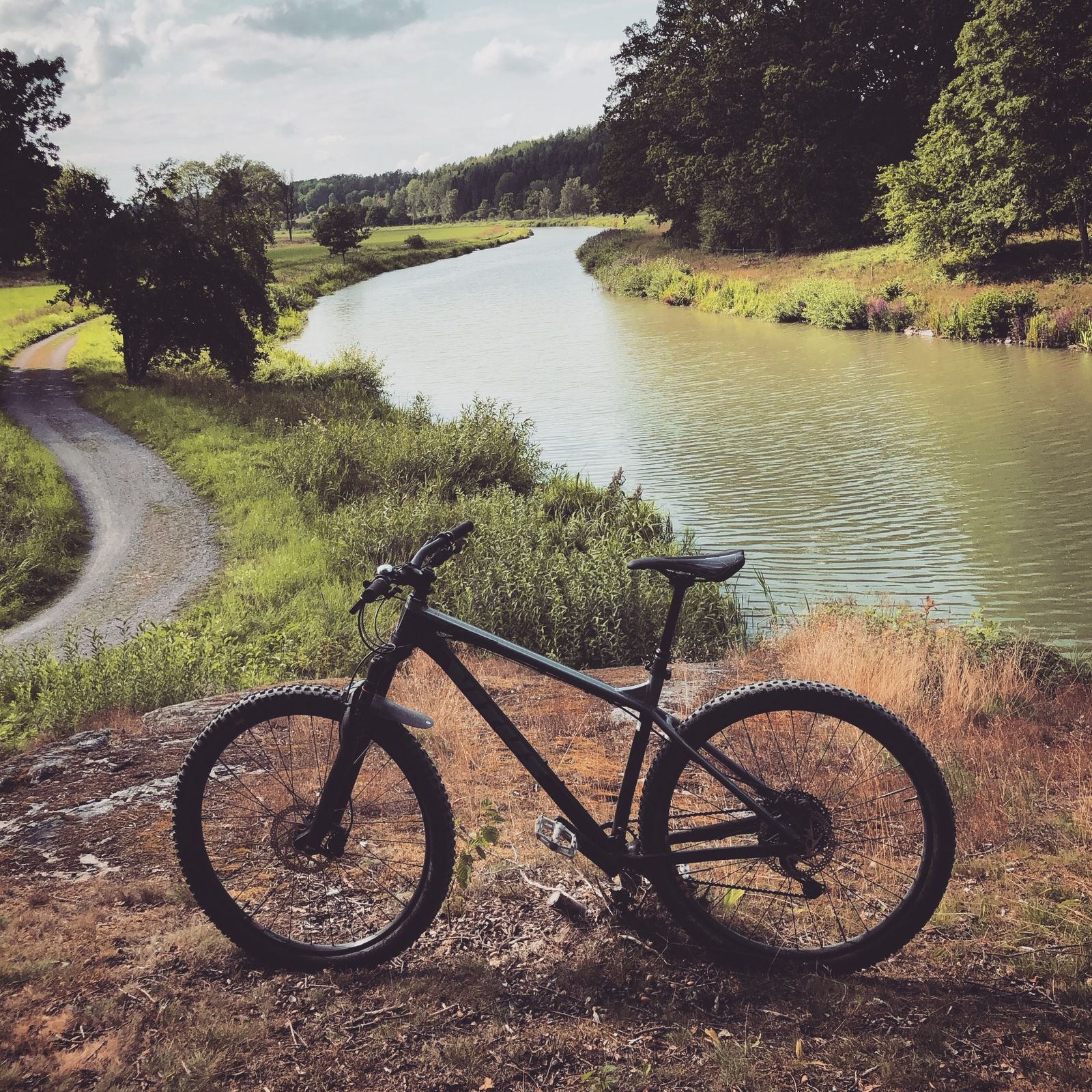 2019-08-05_5.JPG