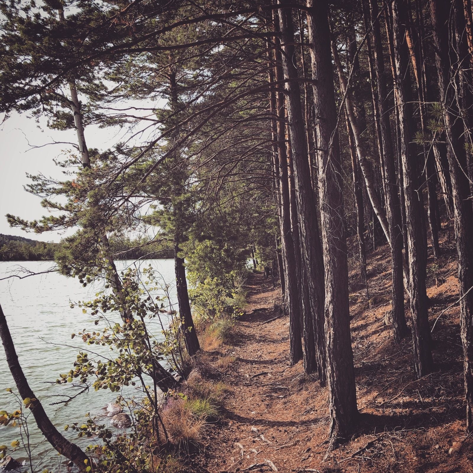 2019-08-21_2.JPG