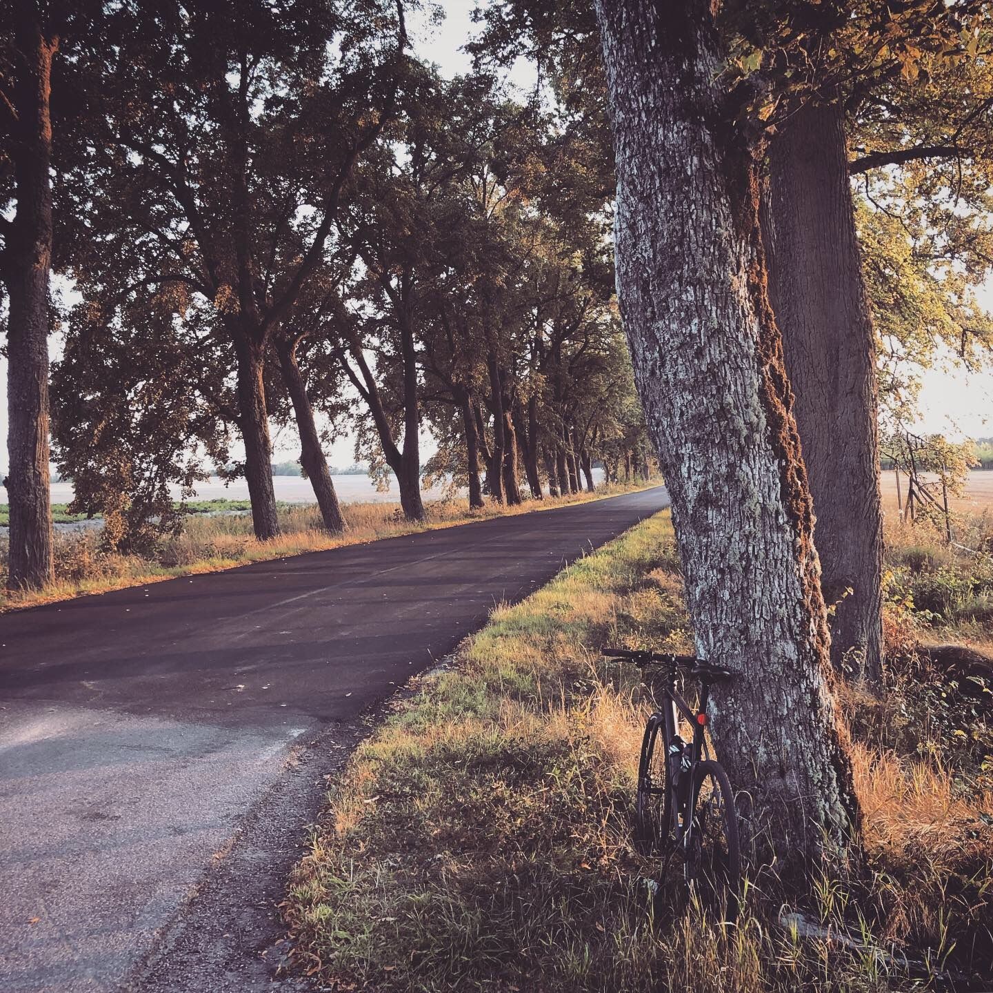 2019-08-26_1.JPG